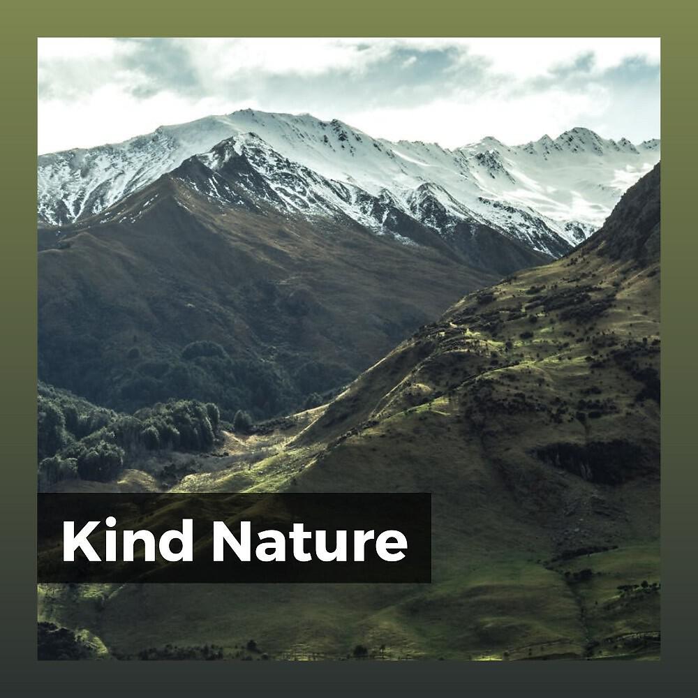 Релиз Kind Nature