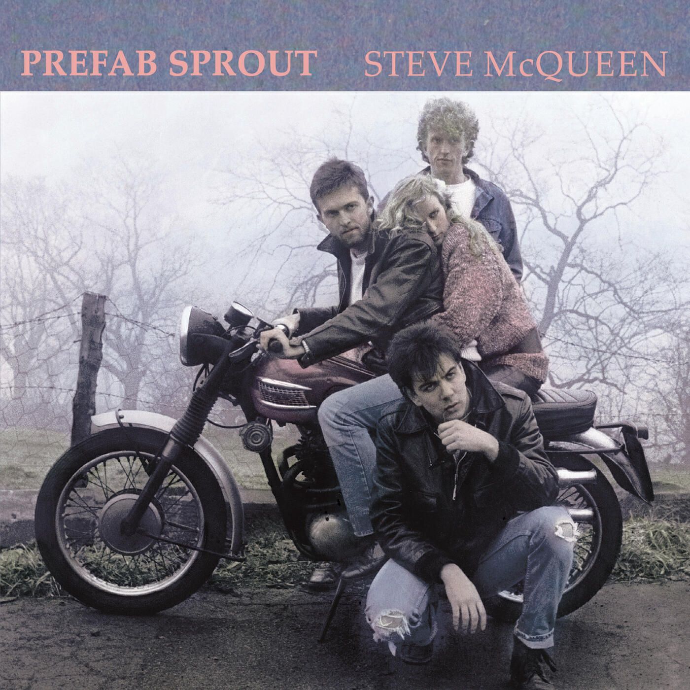 Релиз Steve McQueen