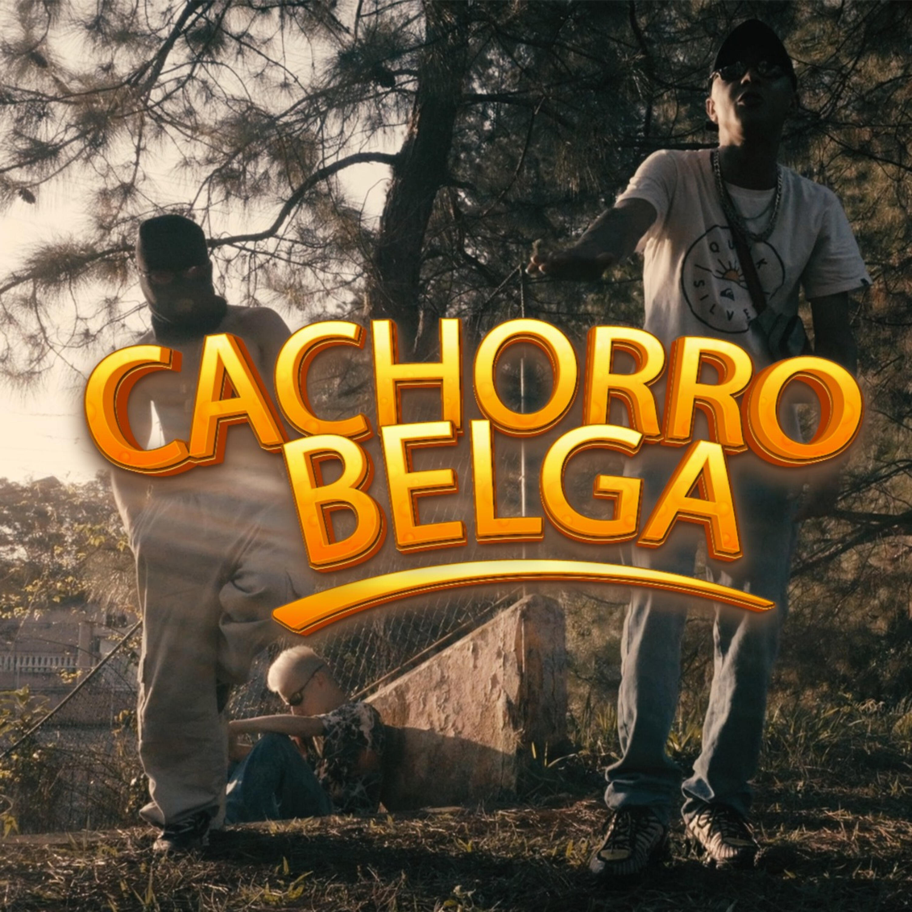 Релиз Cachorro Belga