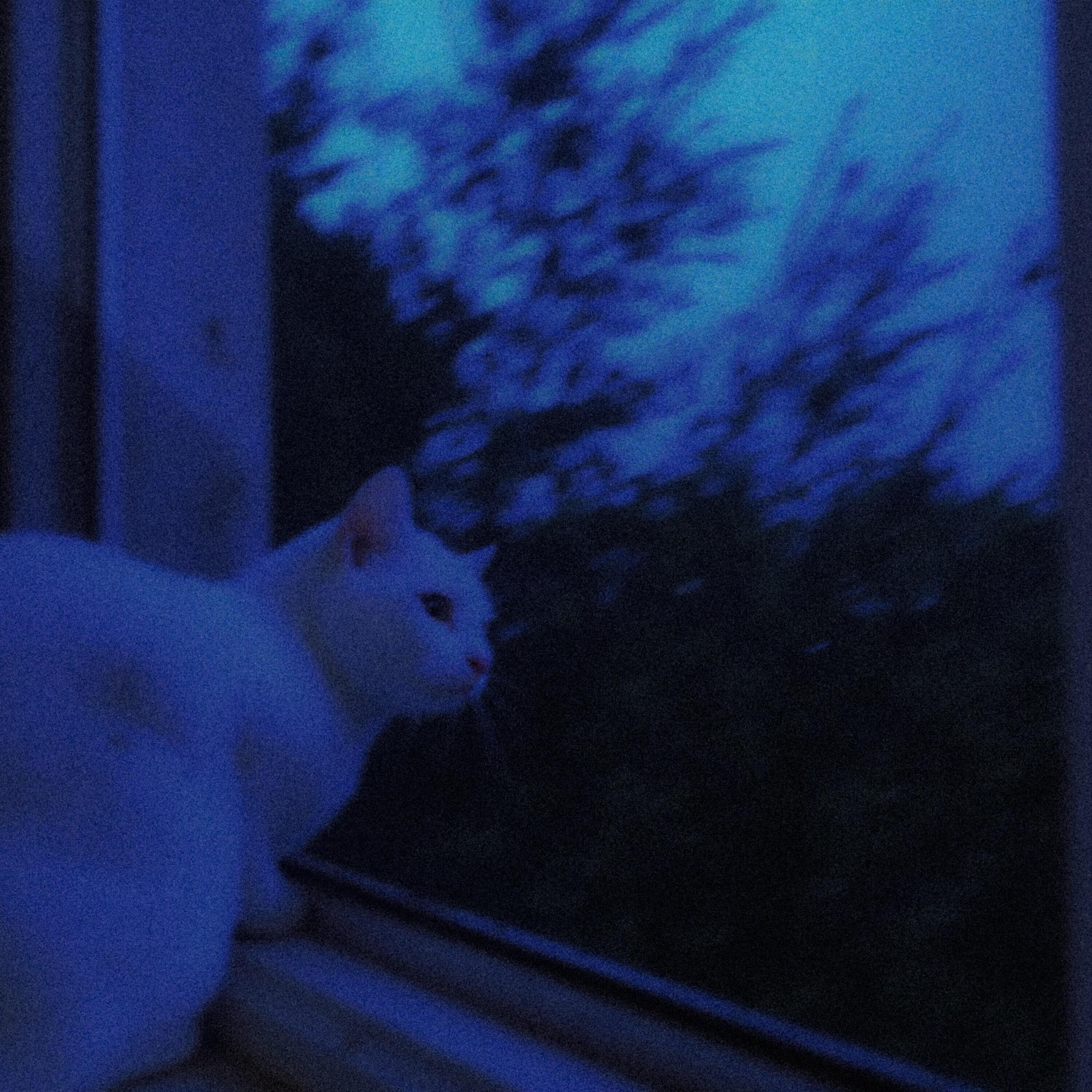 Релиз slowed, vol. 1
