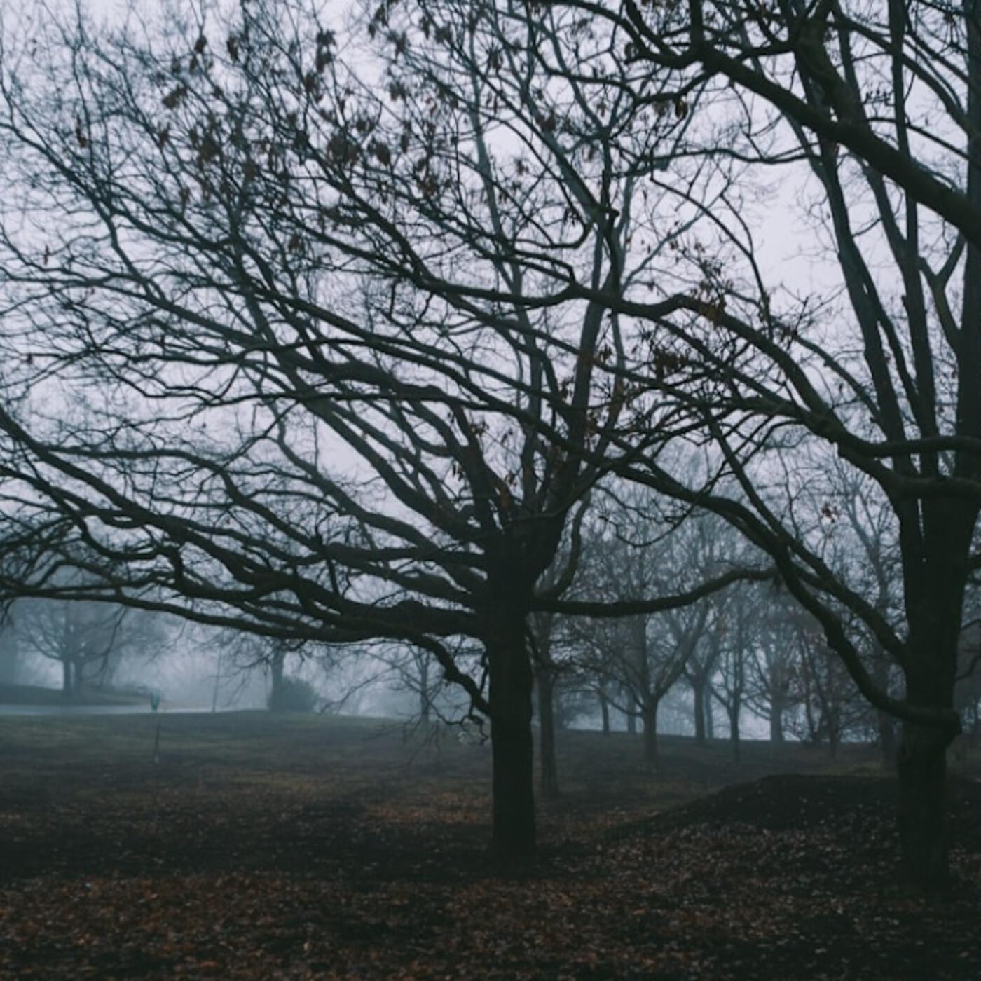 Релиз The Cry of the Soul