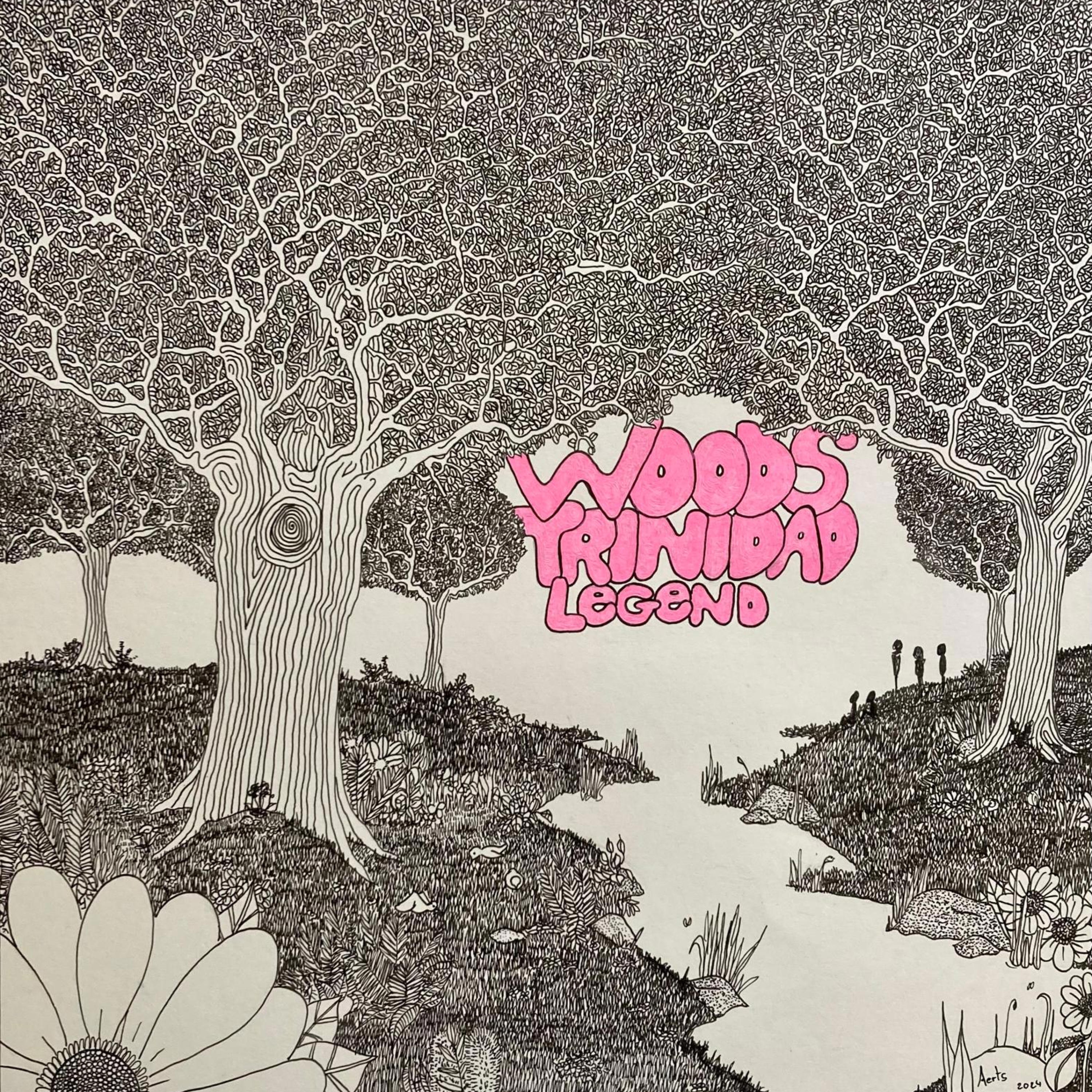 Релиз In the woods