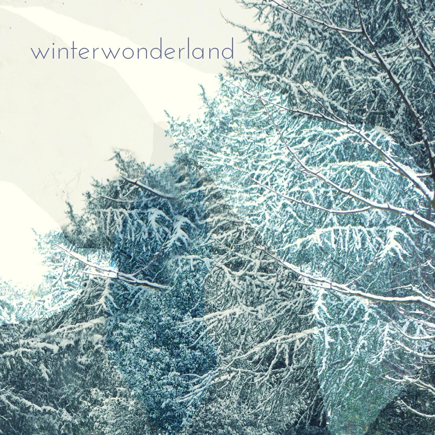 Релиз winterwonderland