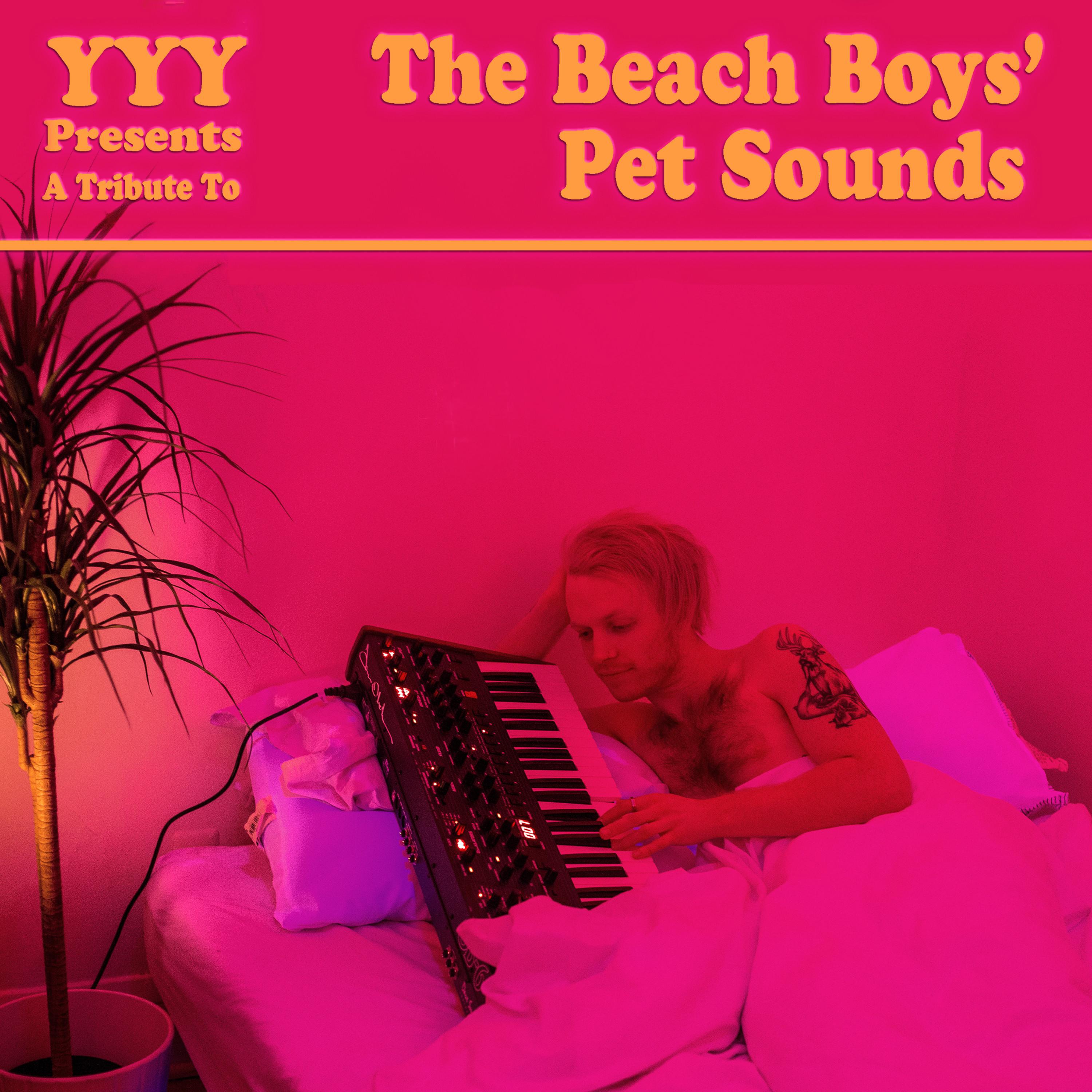 Релиз A Tribute to the Beach Boys' Pet Sounds