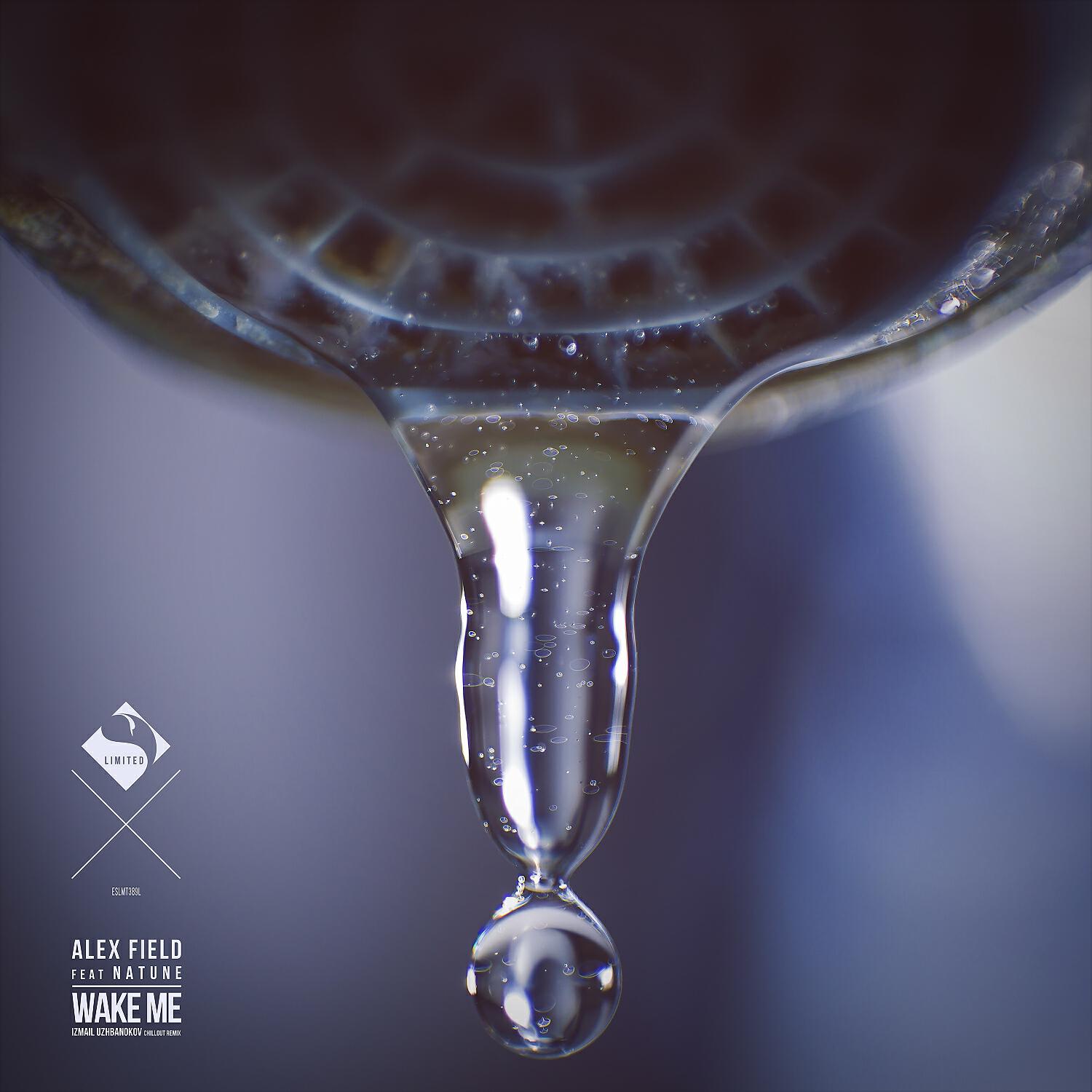 Релиз Wake Me (Izmail Uzhbanokov Chillout Remix)