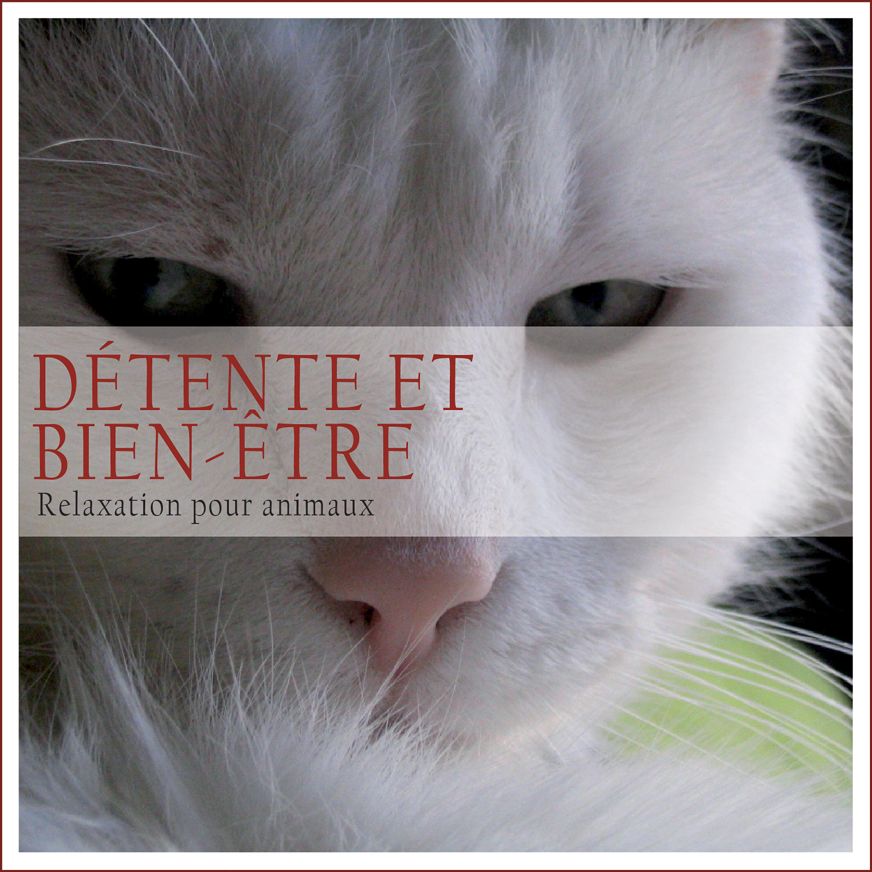 Релиз Détente et bien-être: Relaxation pour animaux