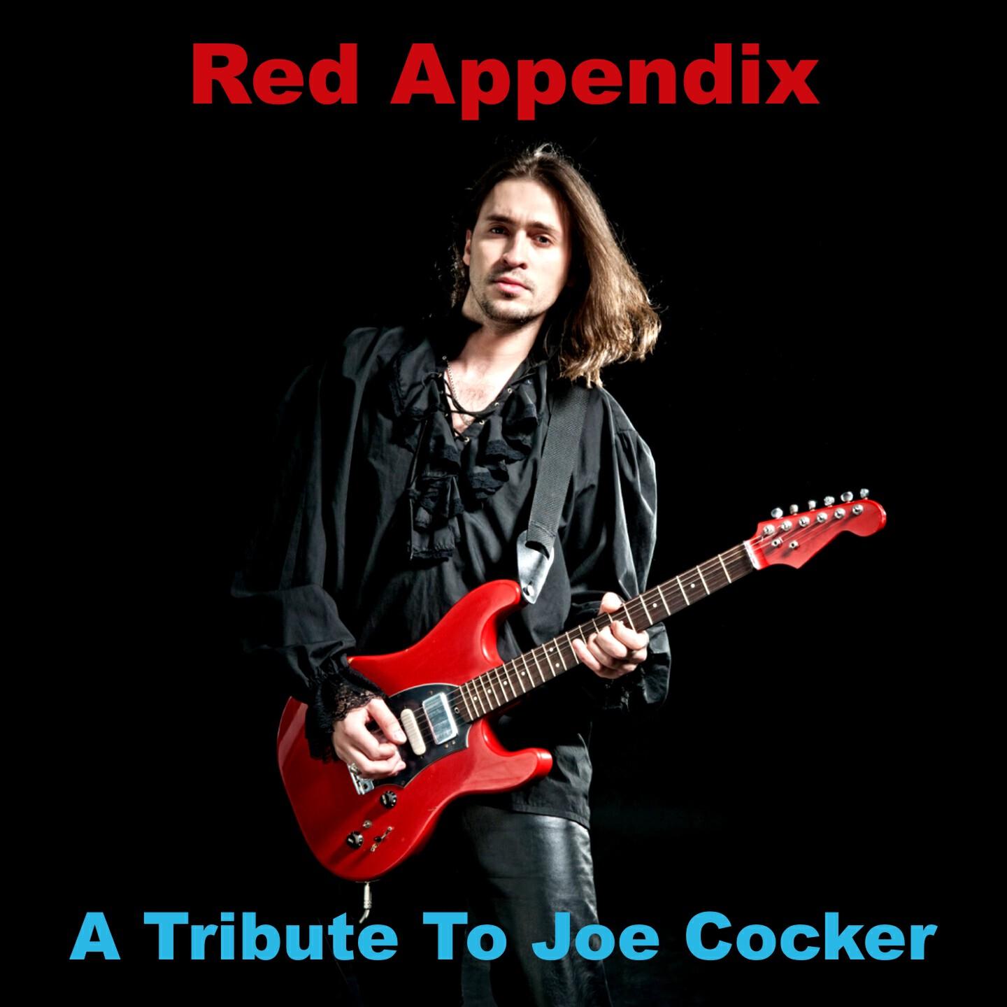Релиз A Tribute To Joe Cocker