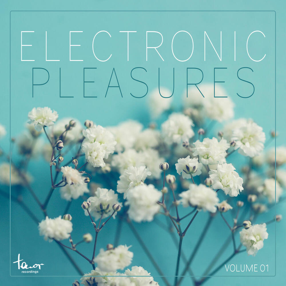 Релиз Electronic Pleasures, Vol. 1