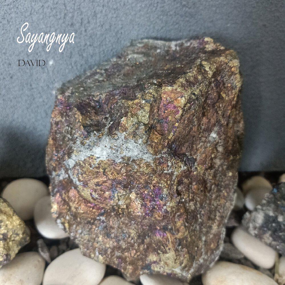 Релиз Sayangnya