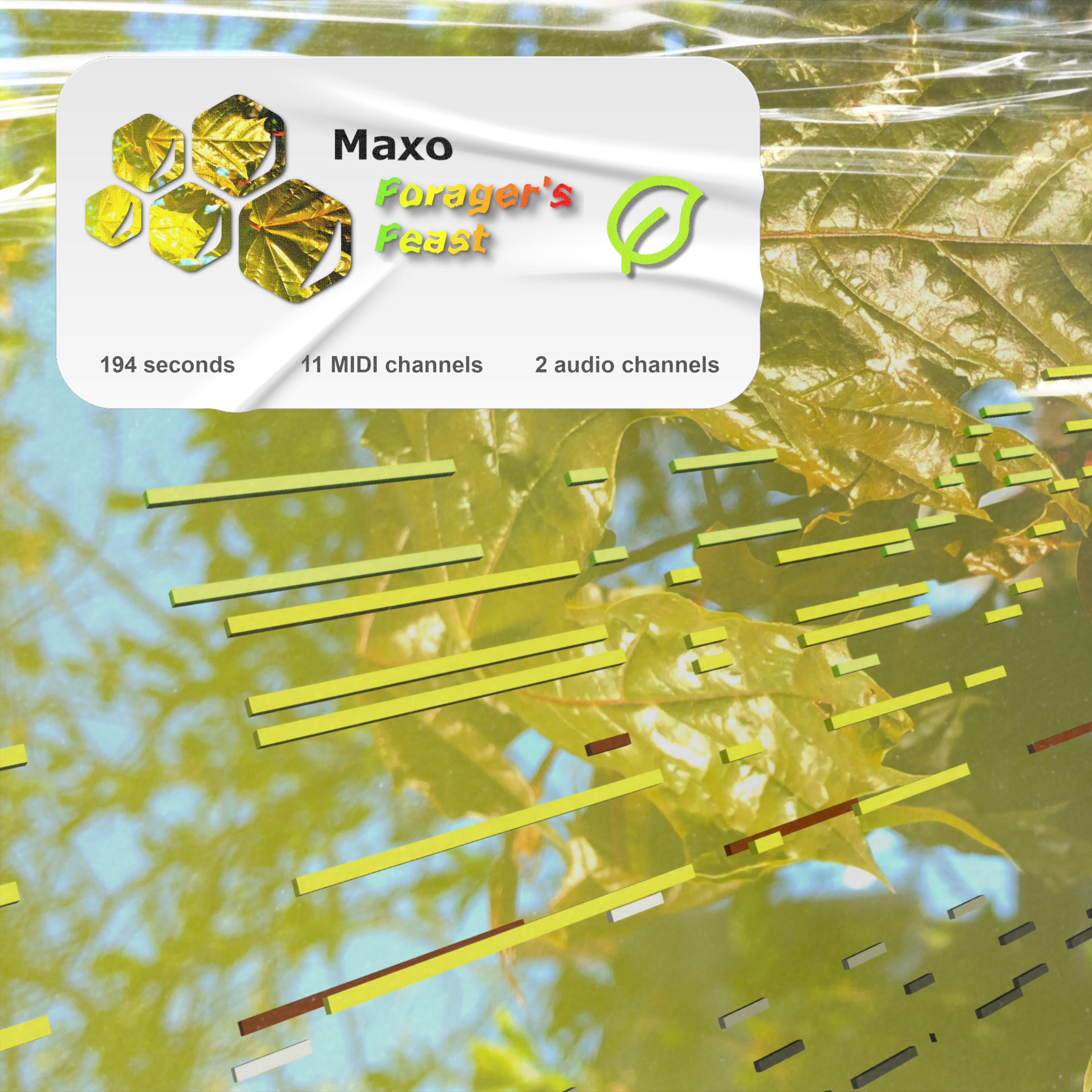 Релиз Forager's Feast