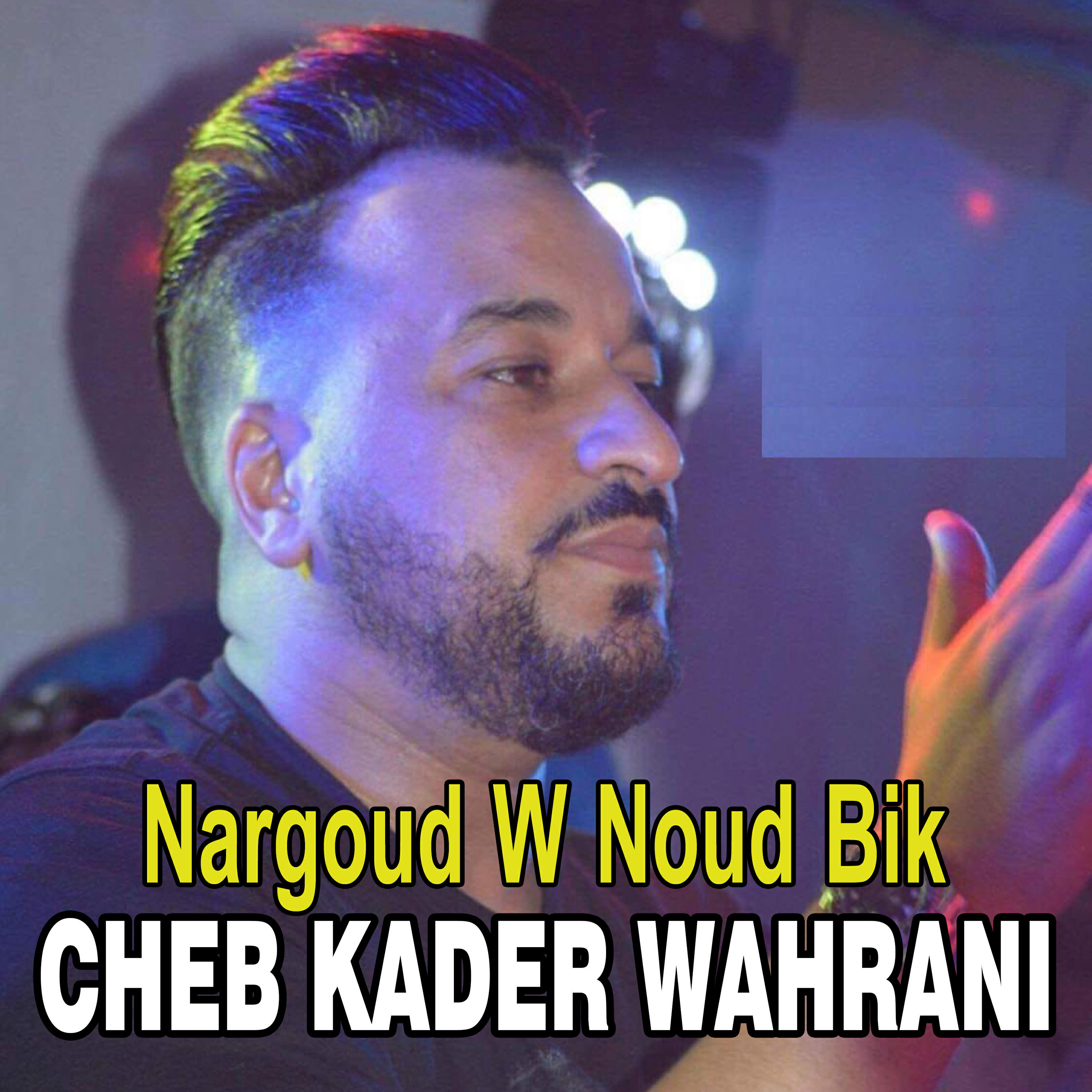 Релиз Nargoud W Noud Bik