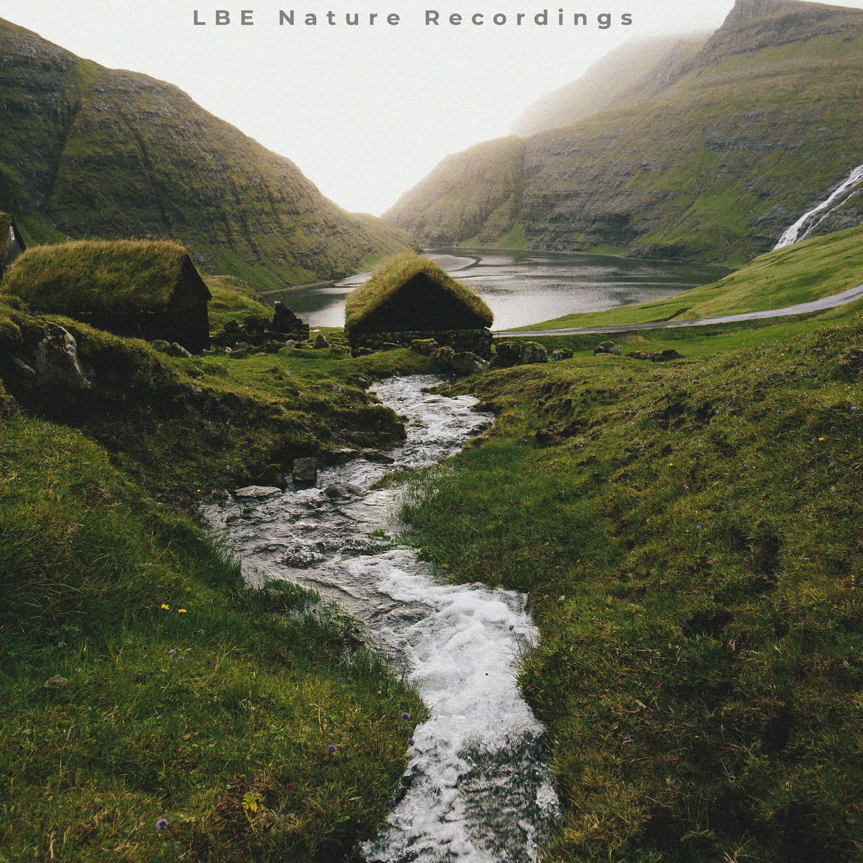 LBE Nature Recordings