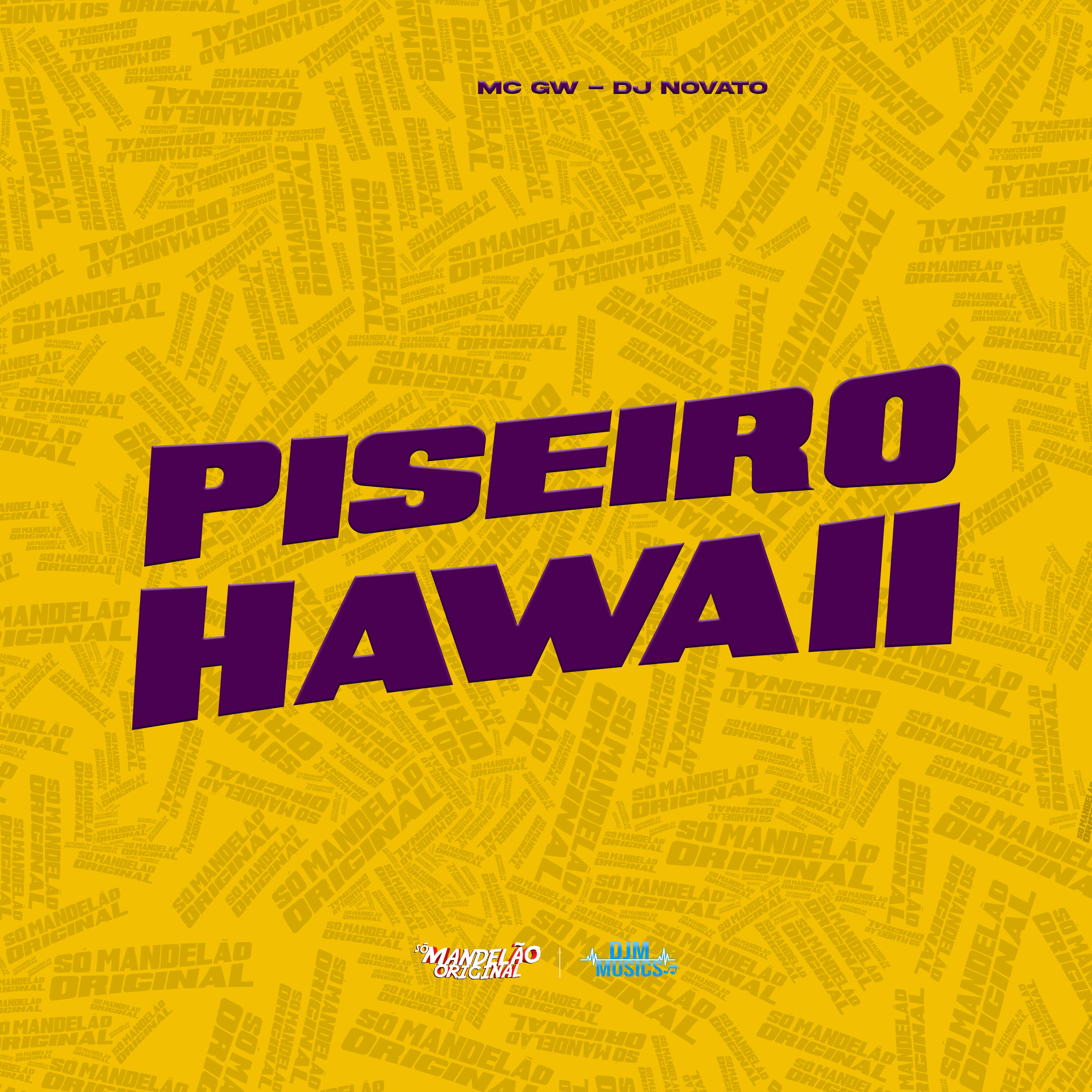 Постер альбома Piseiro Hawaii