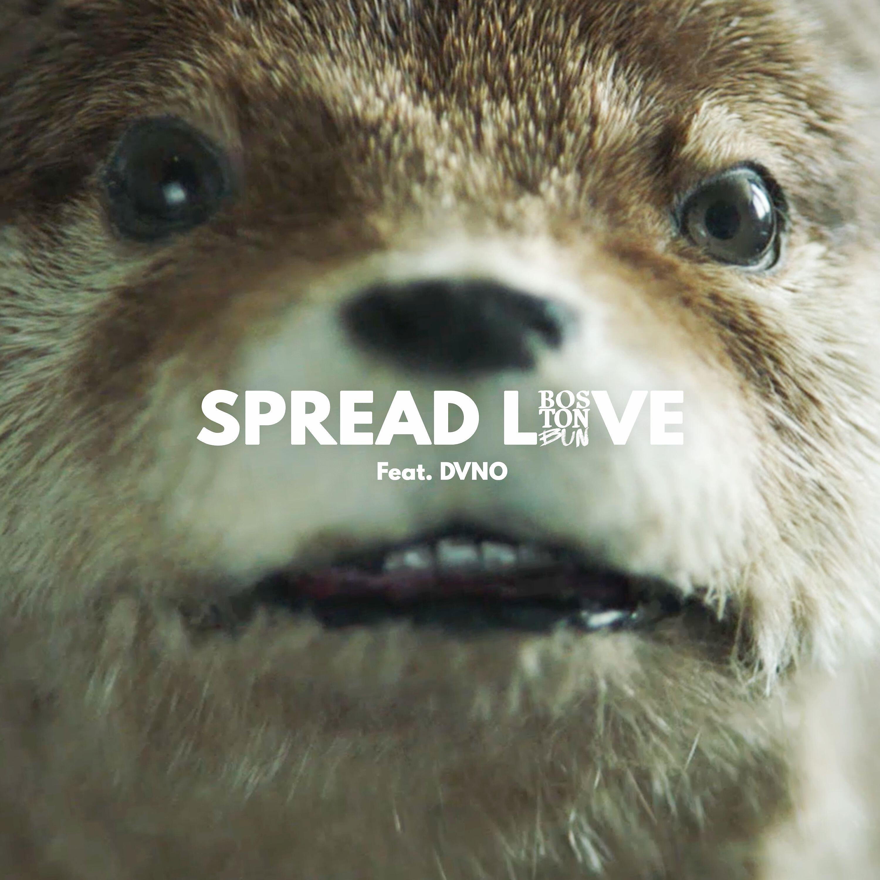 Релиз Spread Love (Paddington) [feat. DVNO]