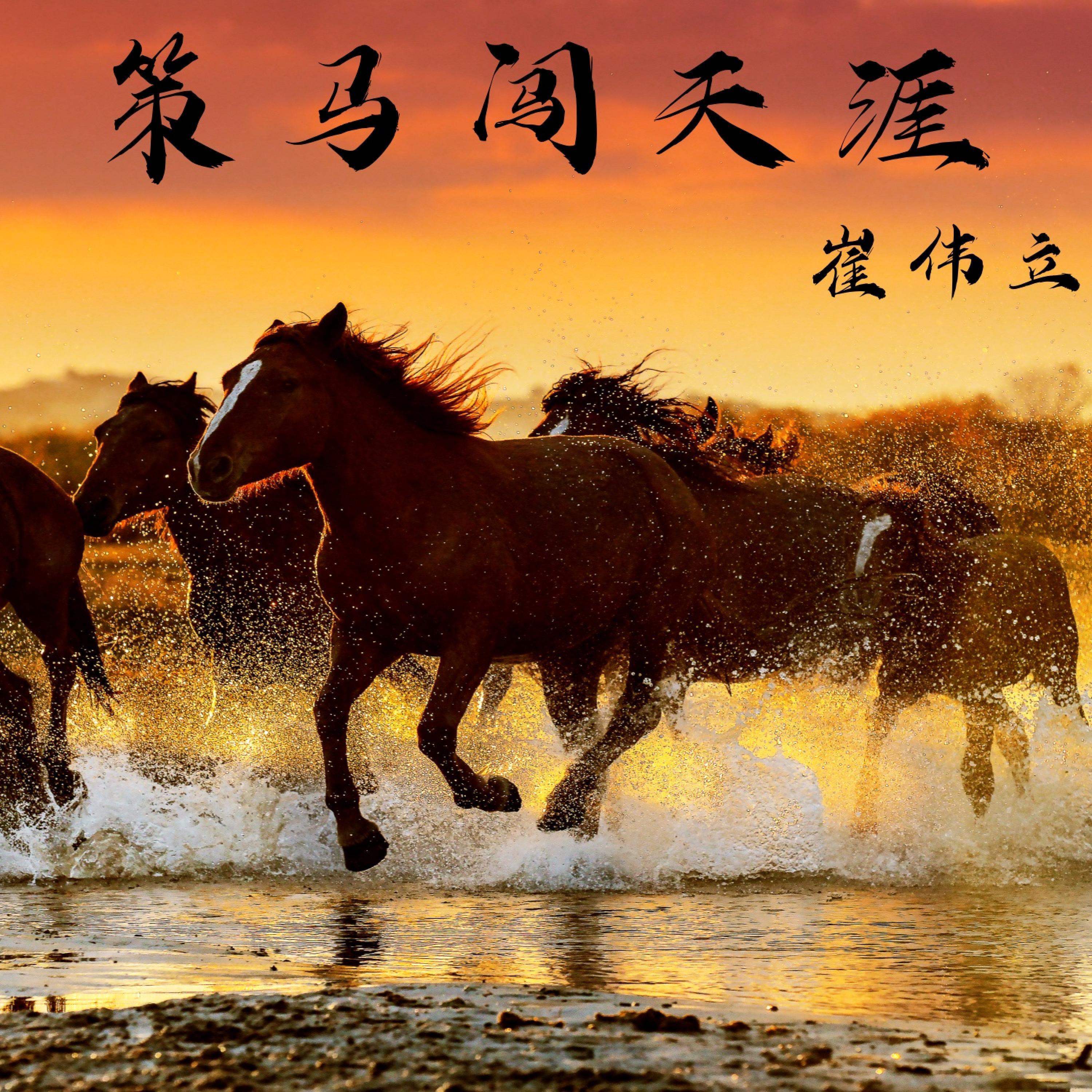 崔伟立