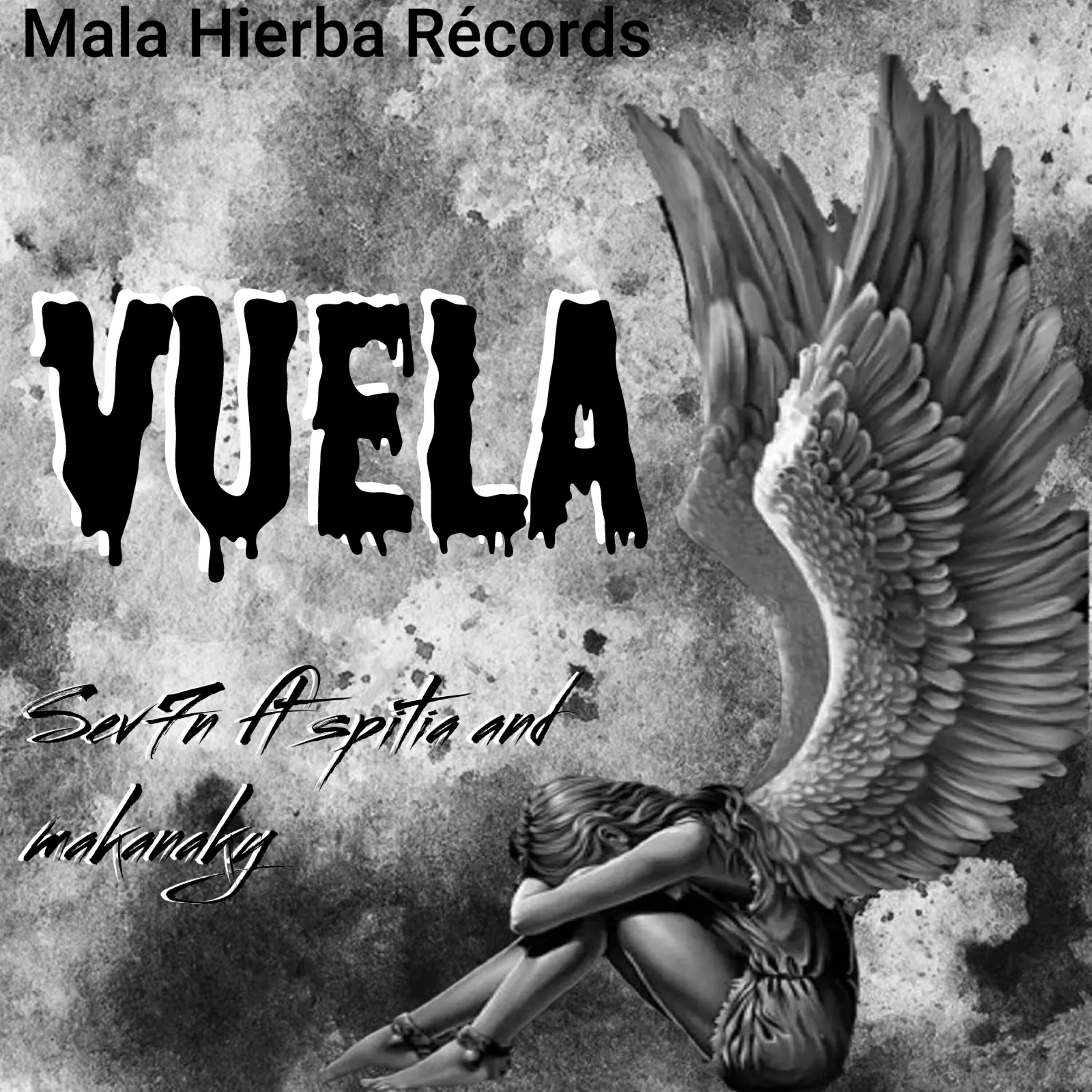 Скачать песню MALA HIERBA RECORDS, Espitia Und, Makanaky - Vuela бесплатно в MP3 для Android и iOS