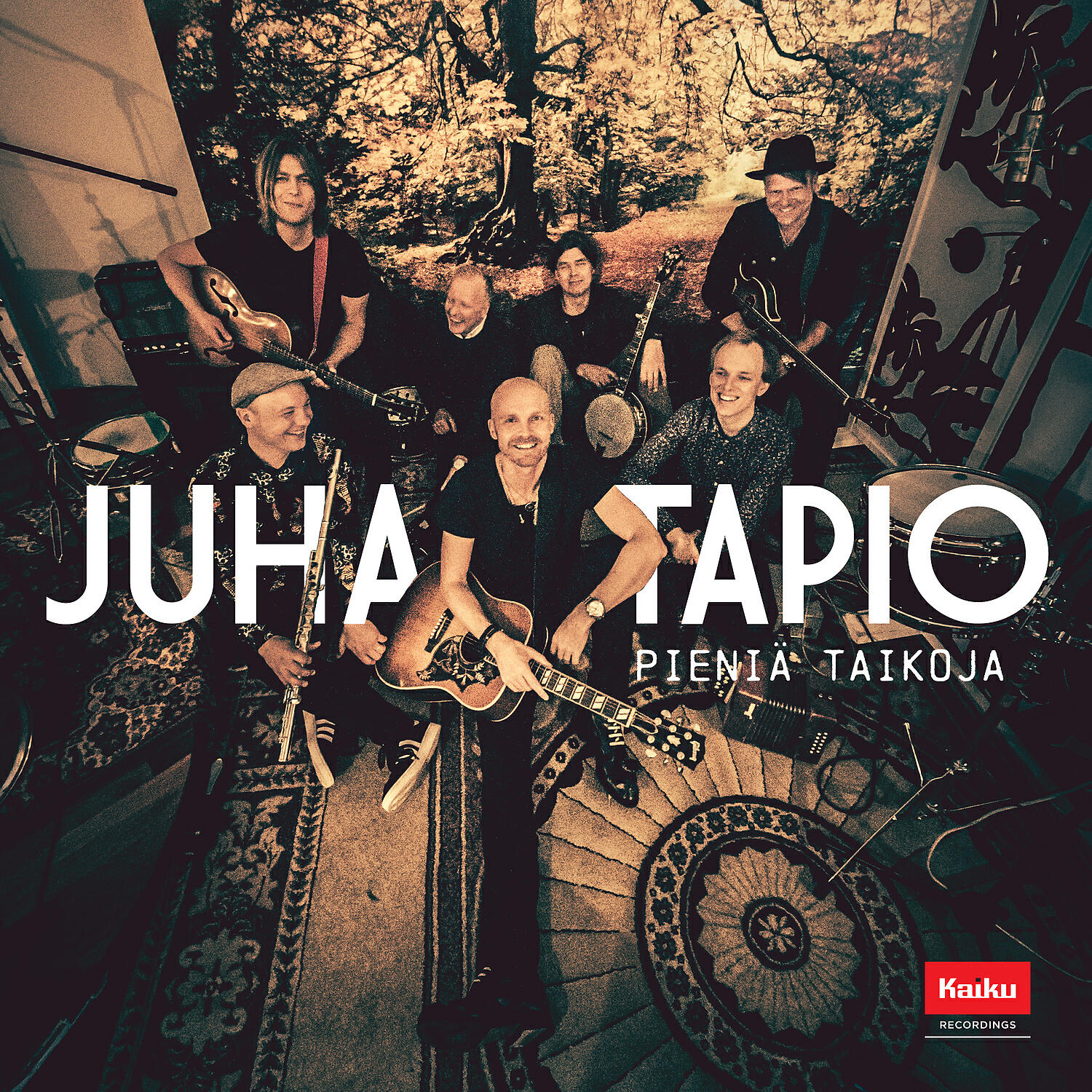 Релиз Pieniä taikoja