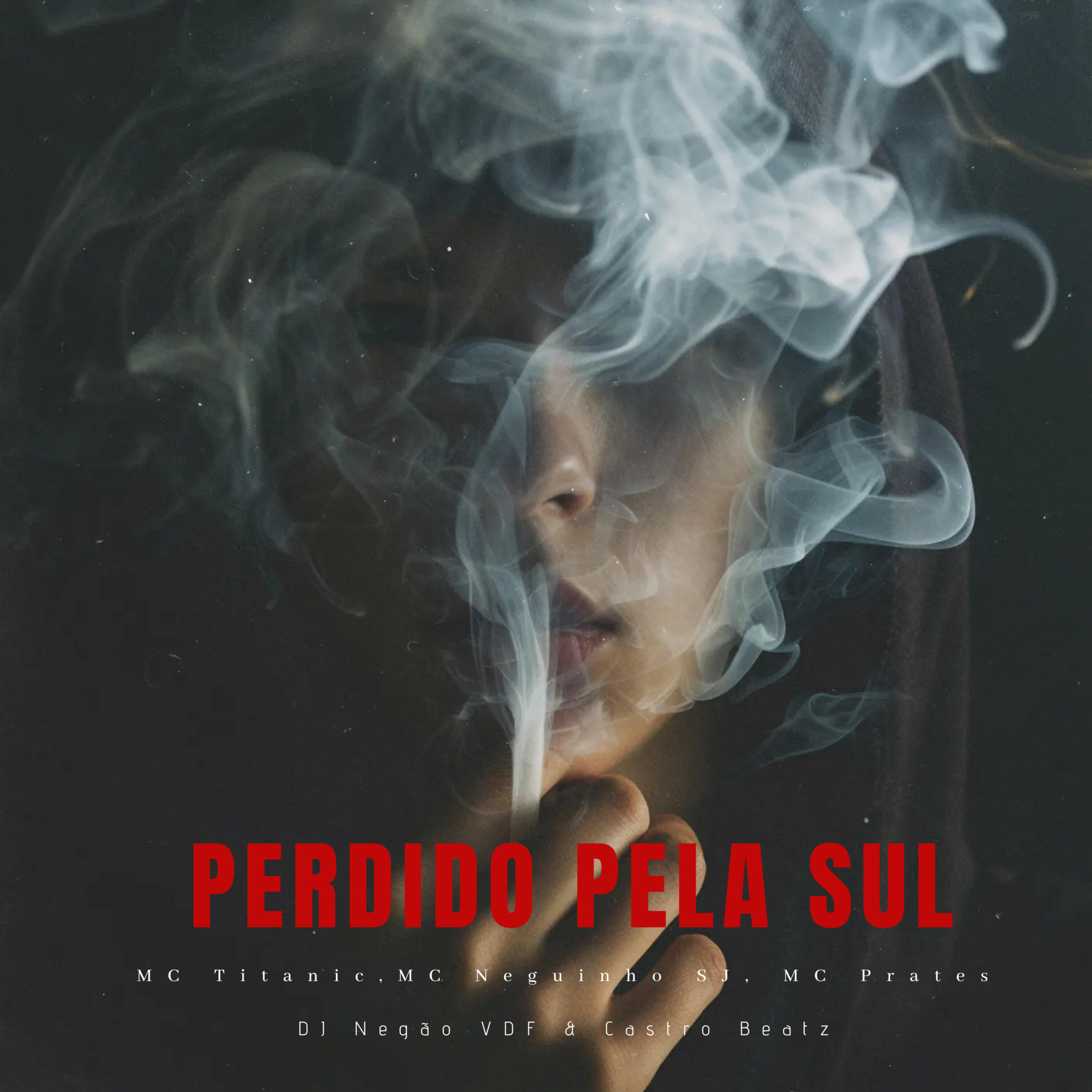 Релиз Perdido pela Sul