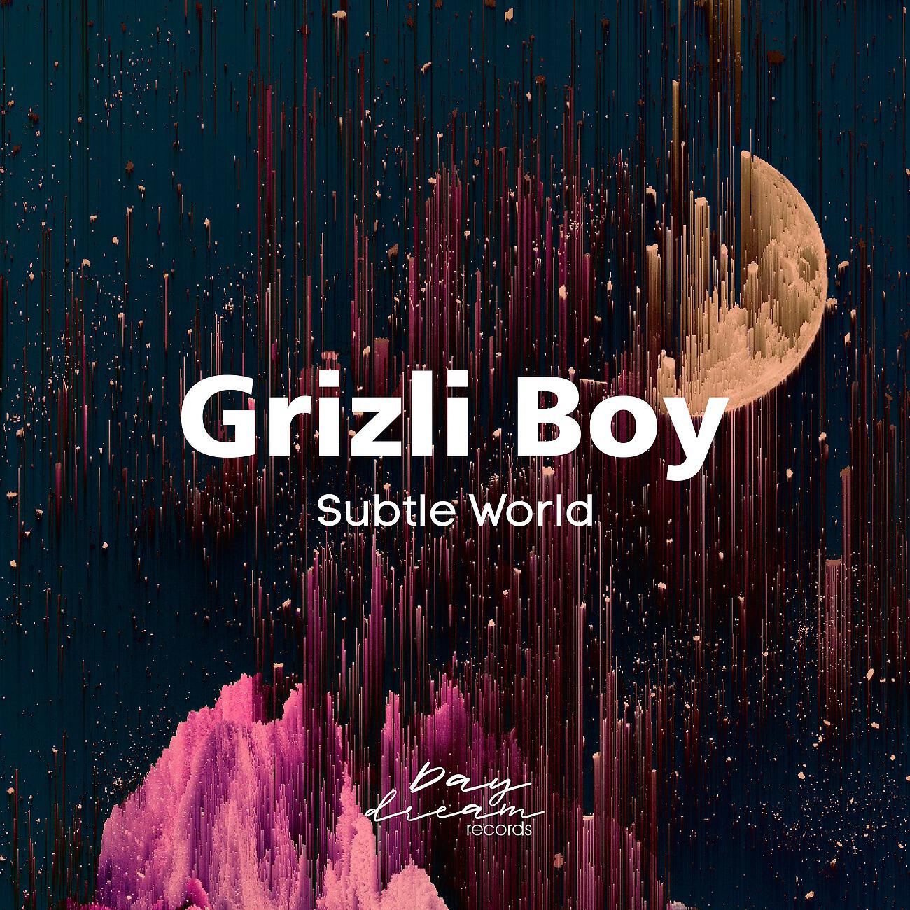 Релиз Subtle World
