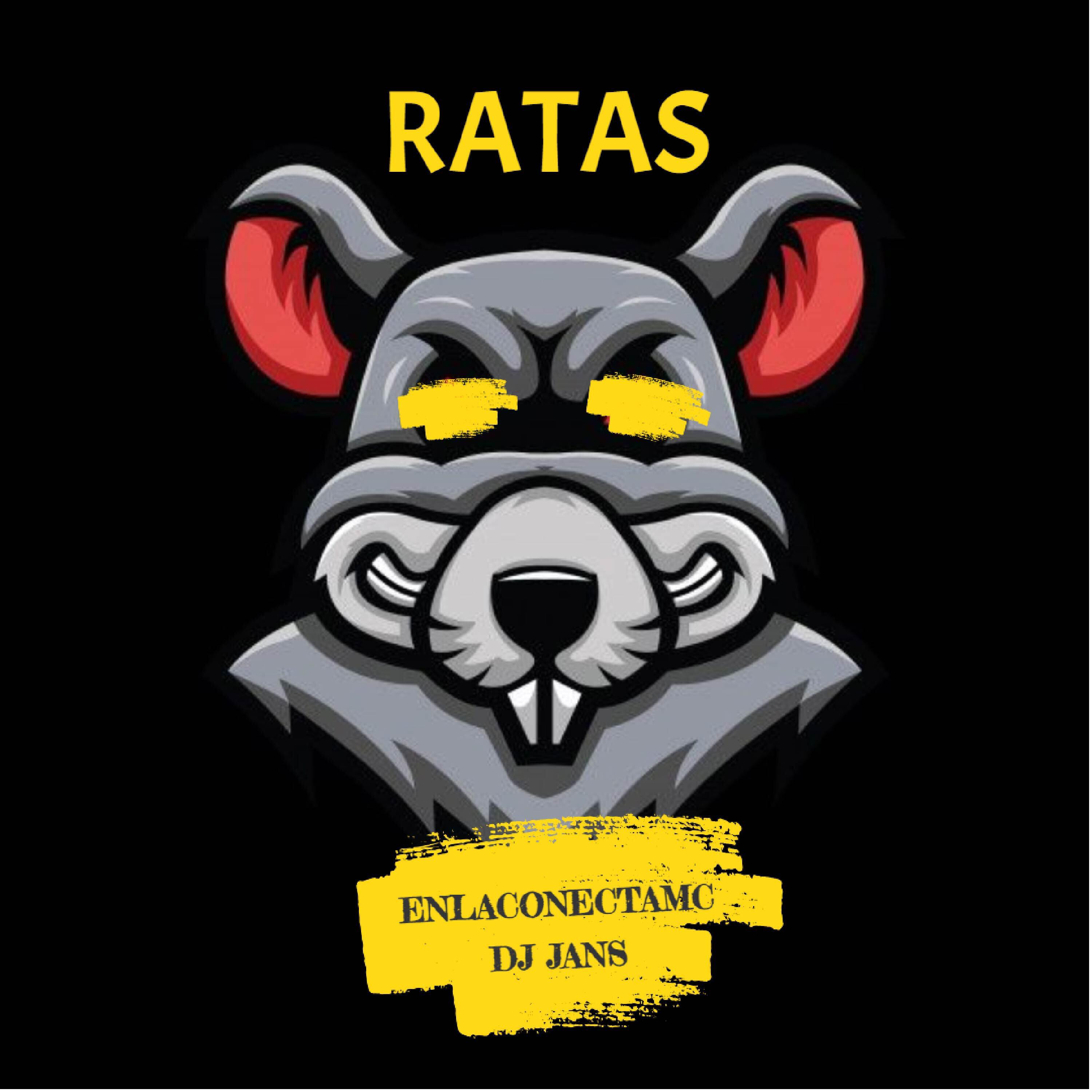 DJ JANS