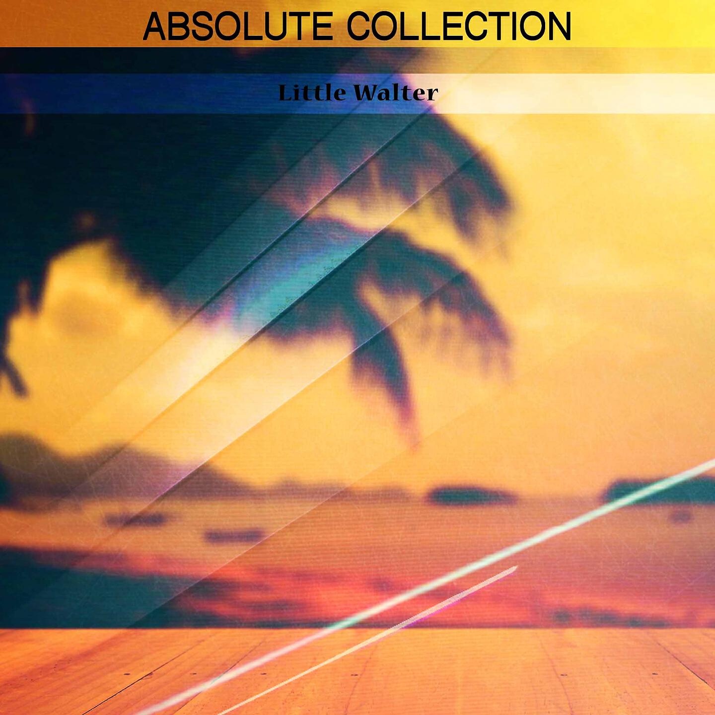 Постер альбома Absolute Collection