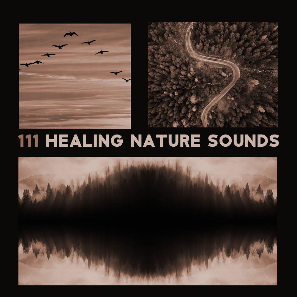 Cognitive Development Music Festival