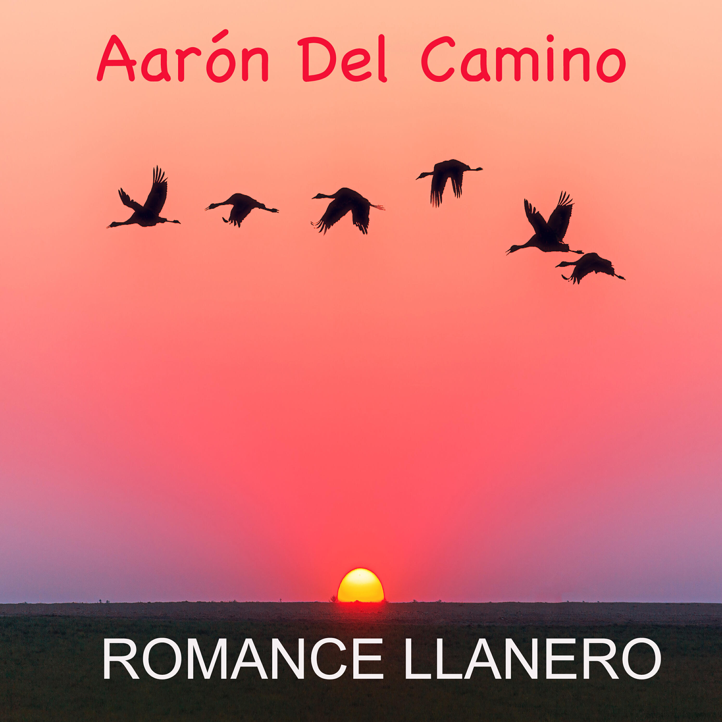 Aaron del Camino
