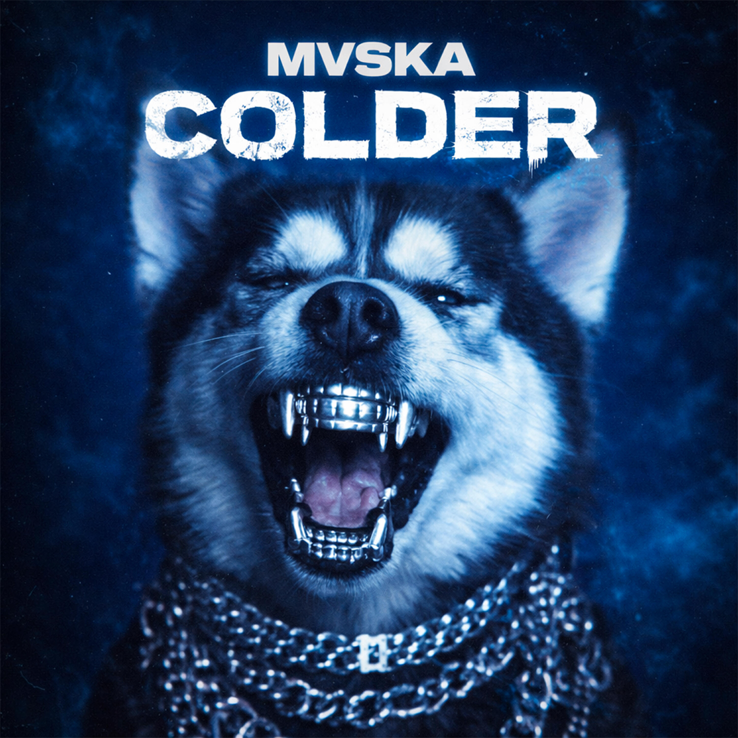 MVSKA