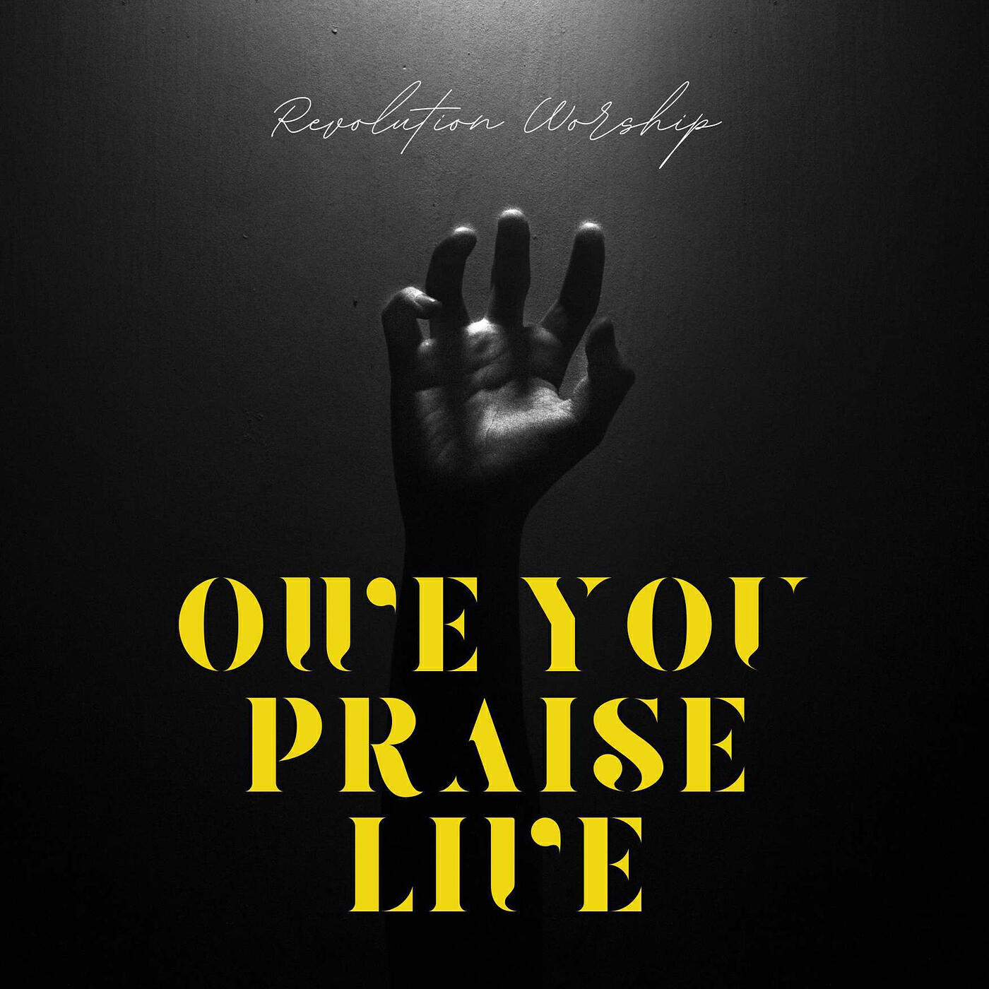 Релиз Owe You Praise (Live)