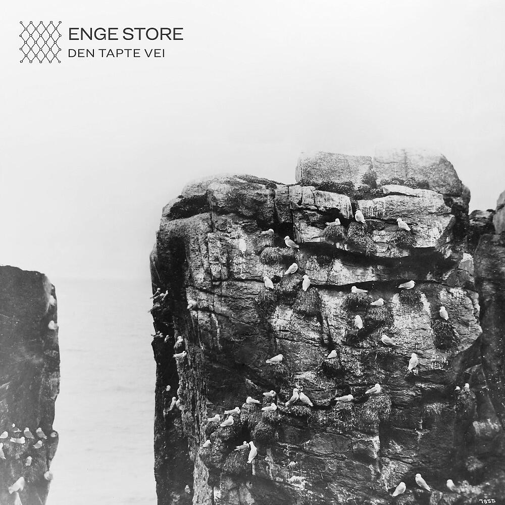 Релиз Den tapte vei