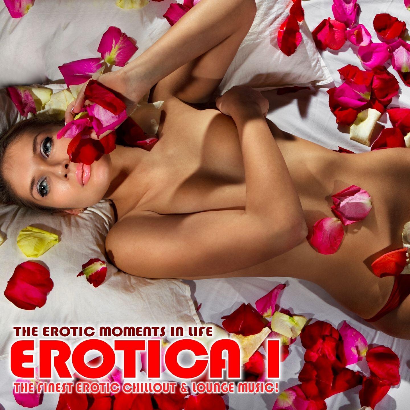 Релиз Erotica, Vol. 1 - The Erotic Moments Of Life