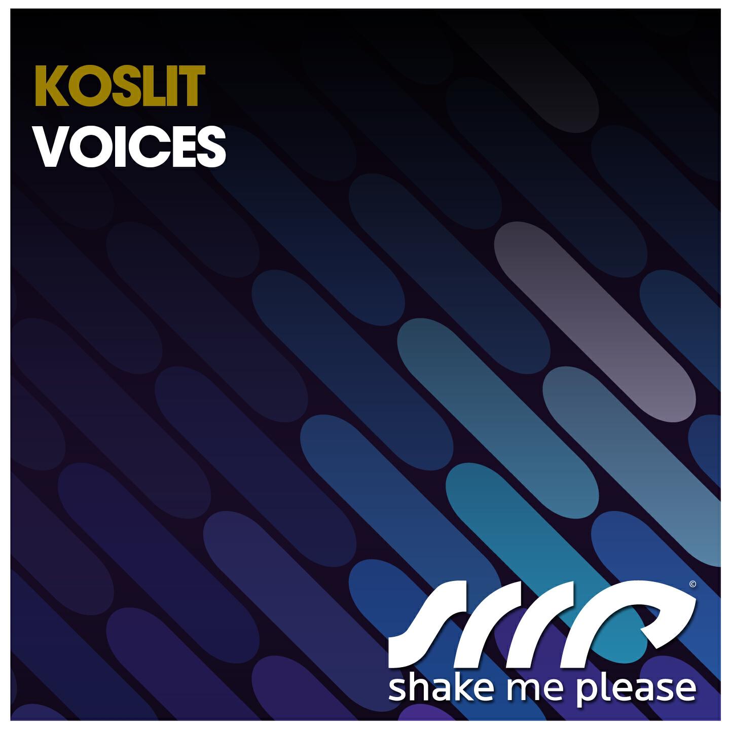 Релиз Voices