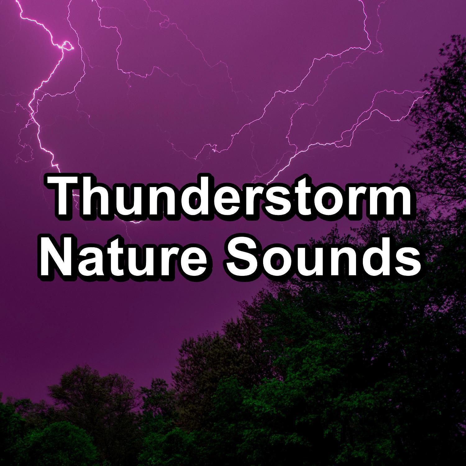 Релиз Thunderstorm Nature Sounds