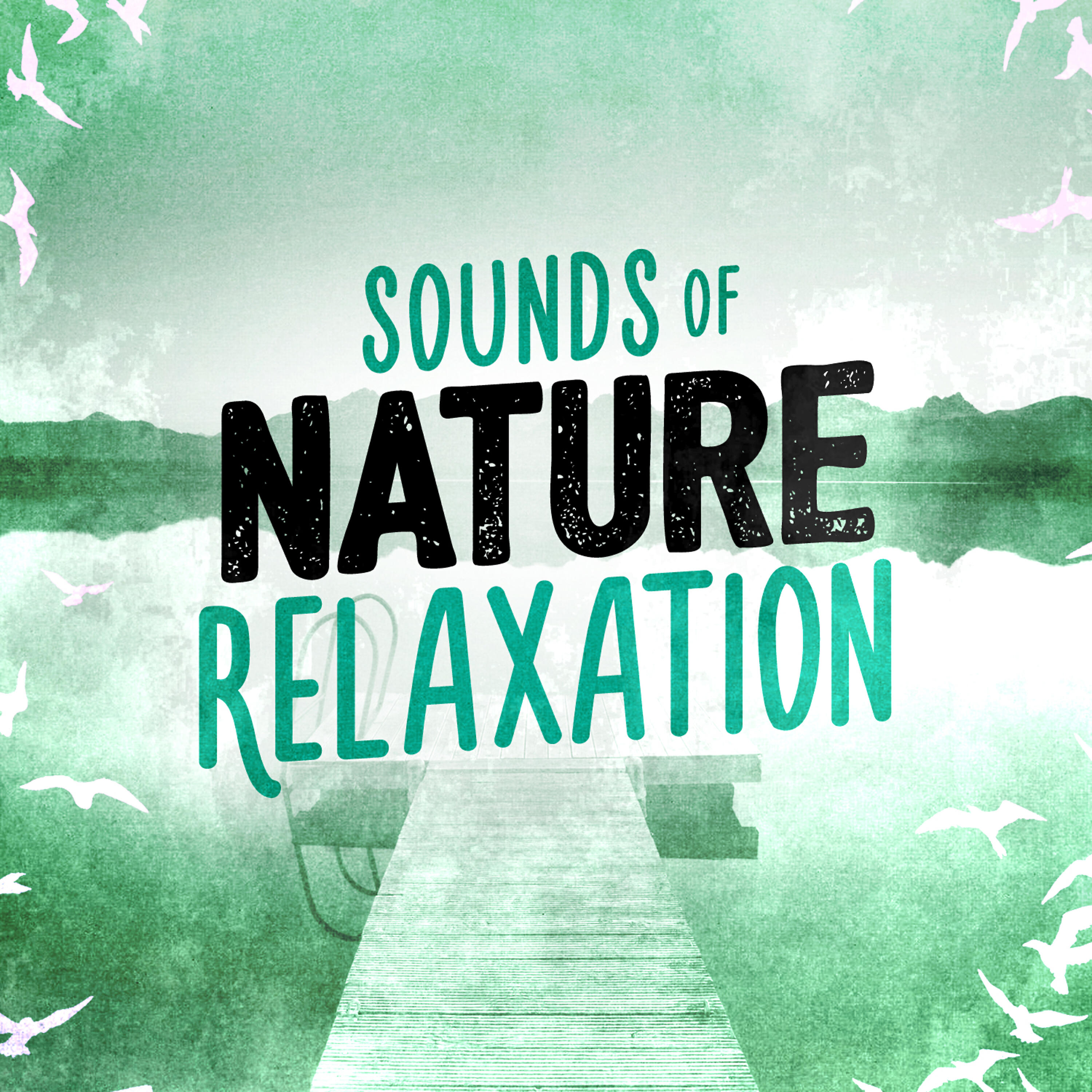 Релиз Sounds of Nature Relaxation