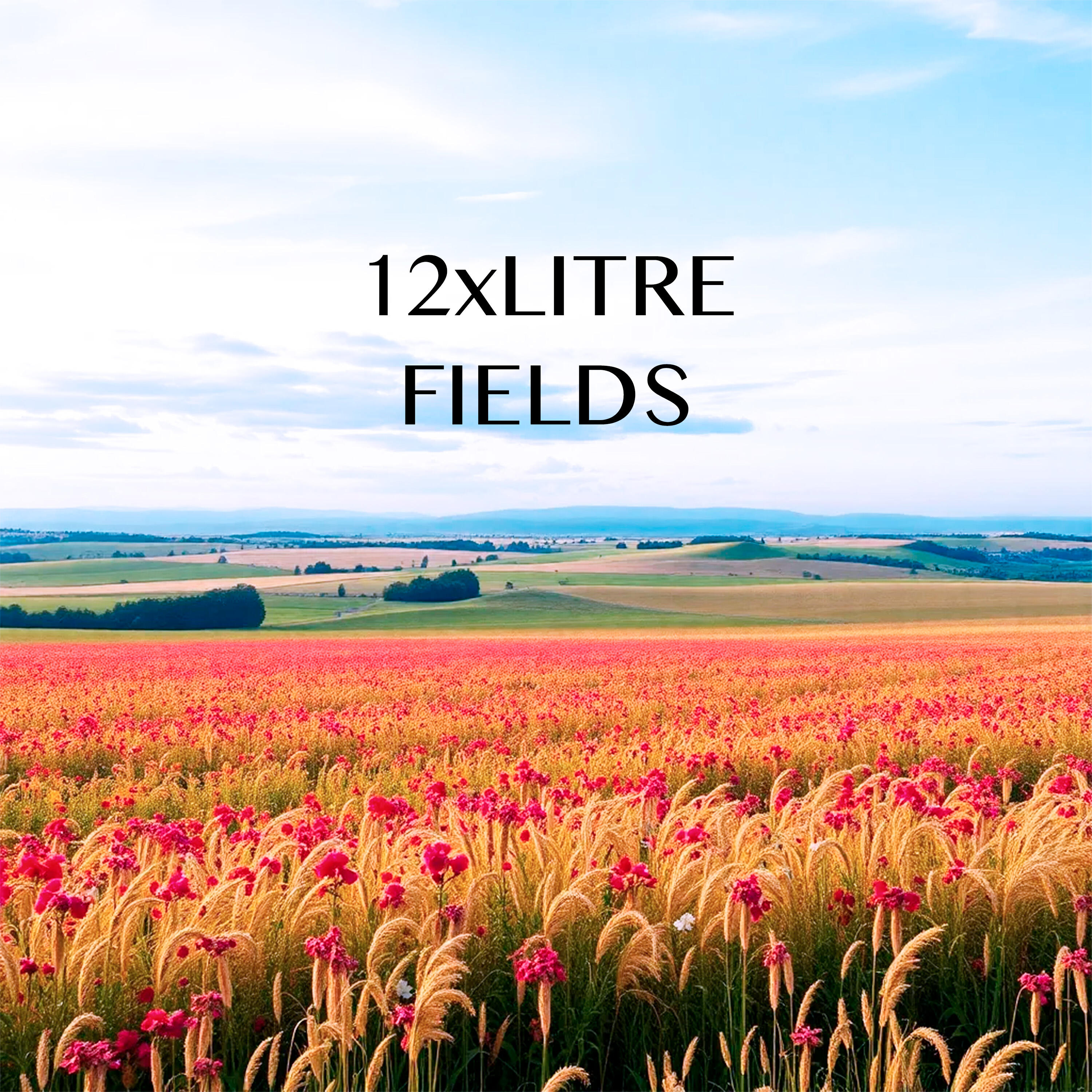 Релиз Fields