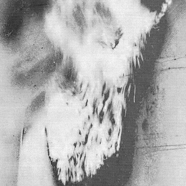 Релиз The Virility Of Flames