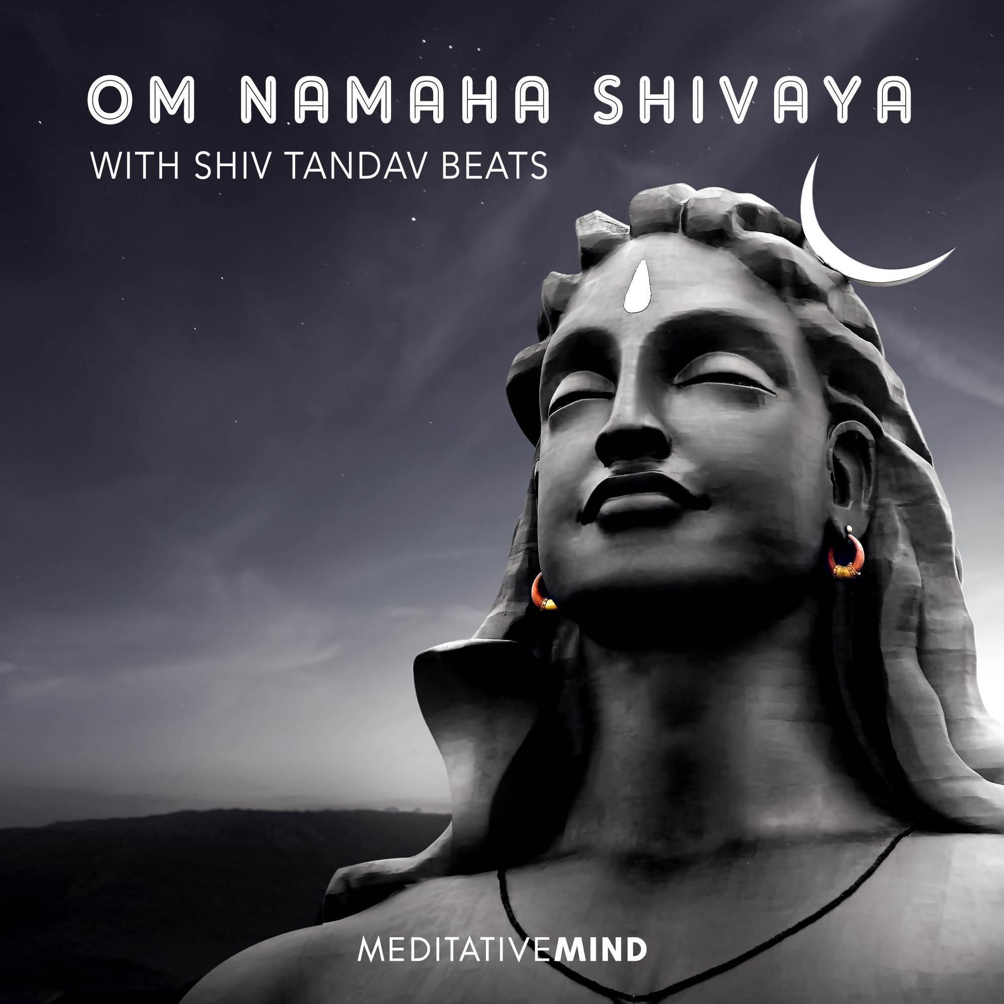 Релиз Om Namaha Shivaya with Shiv Tandav Beats