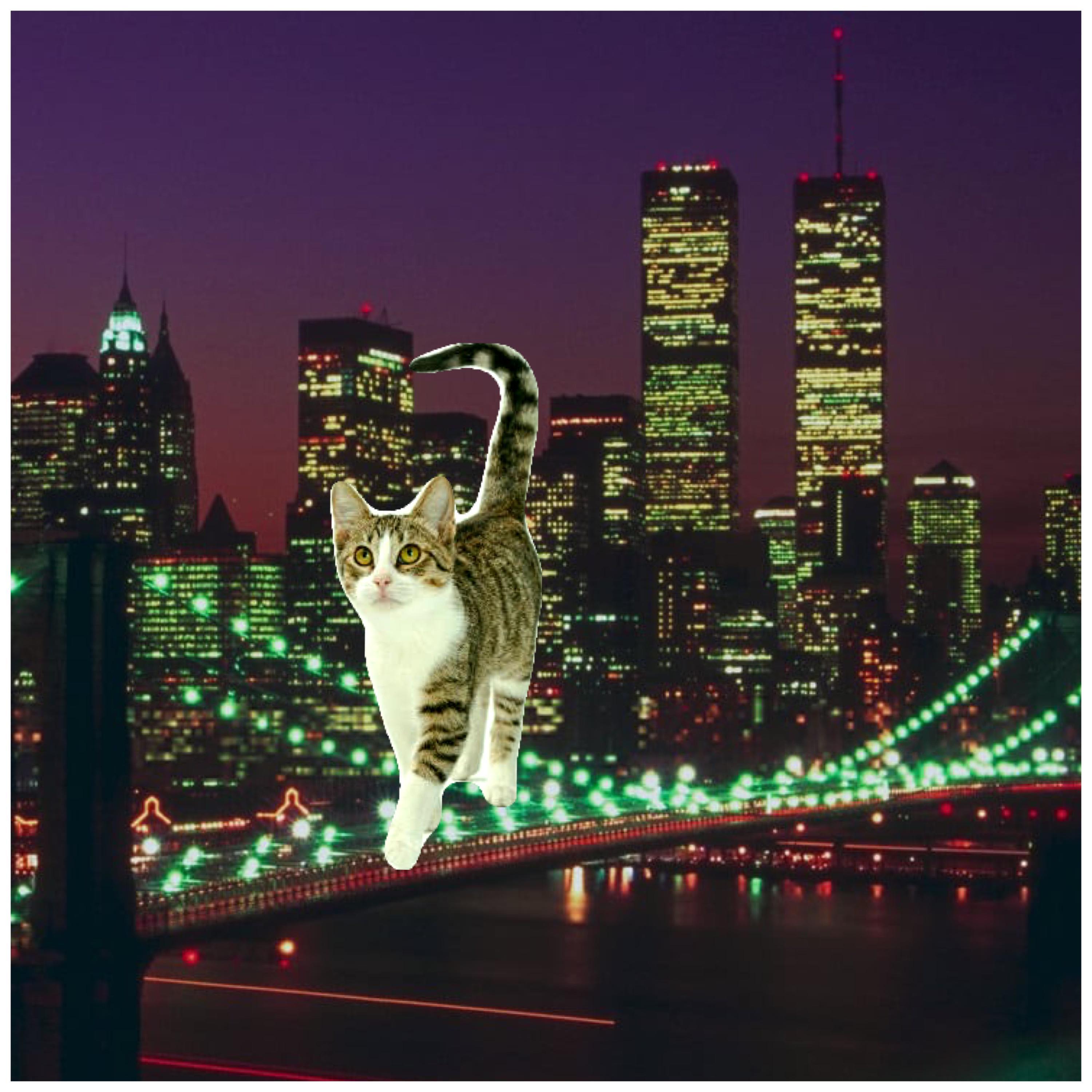 Релиз Gatichico