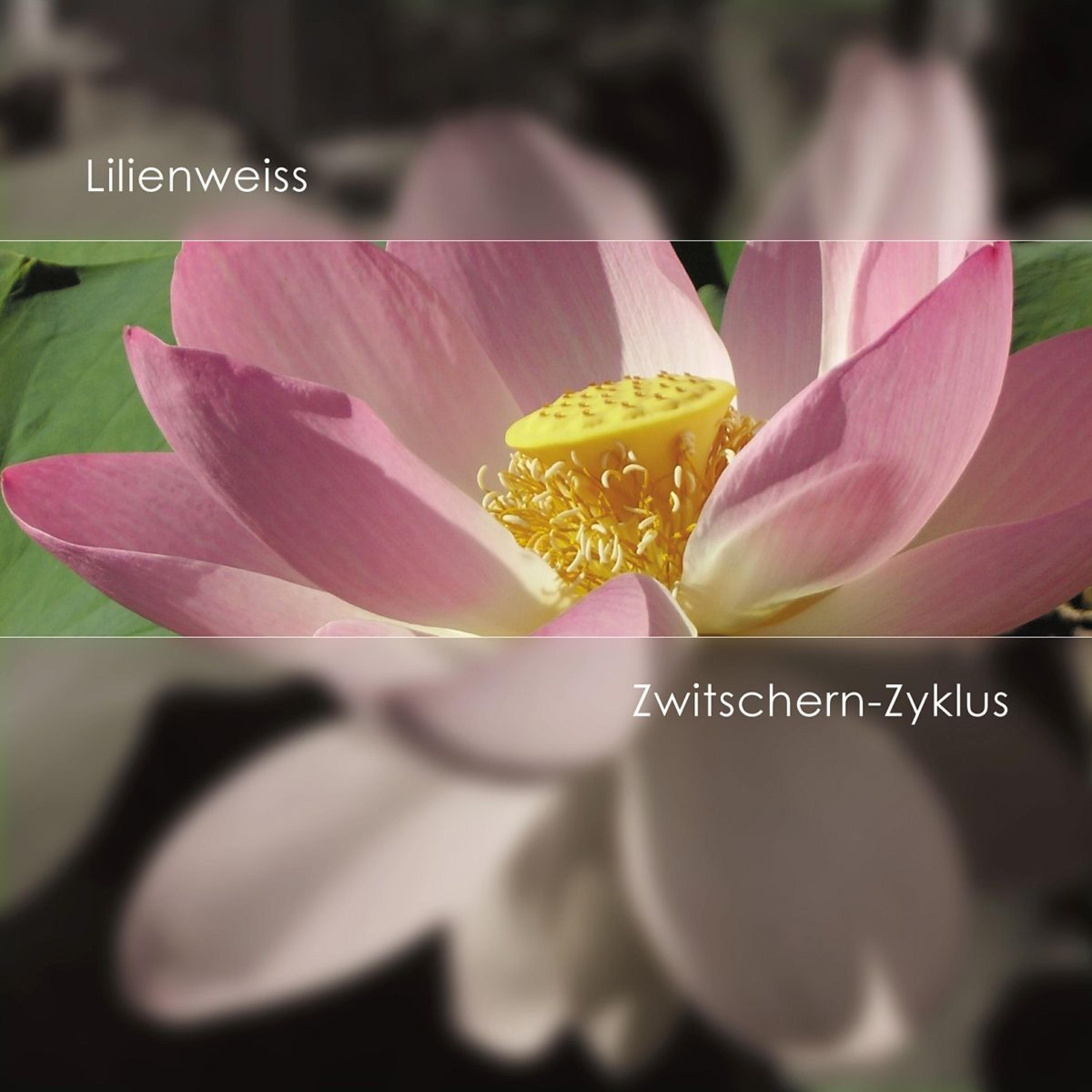 Релиз Zwitschern-Zyklus (Twitter Cycle)