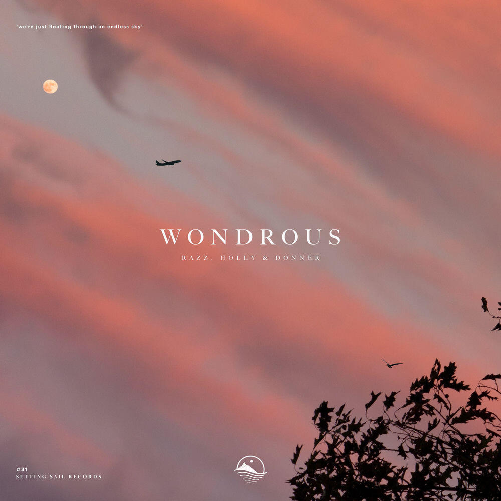 Релиз Wondrous