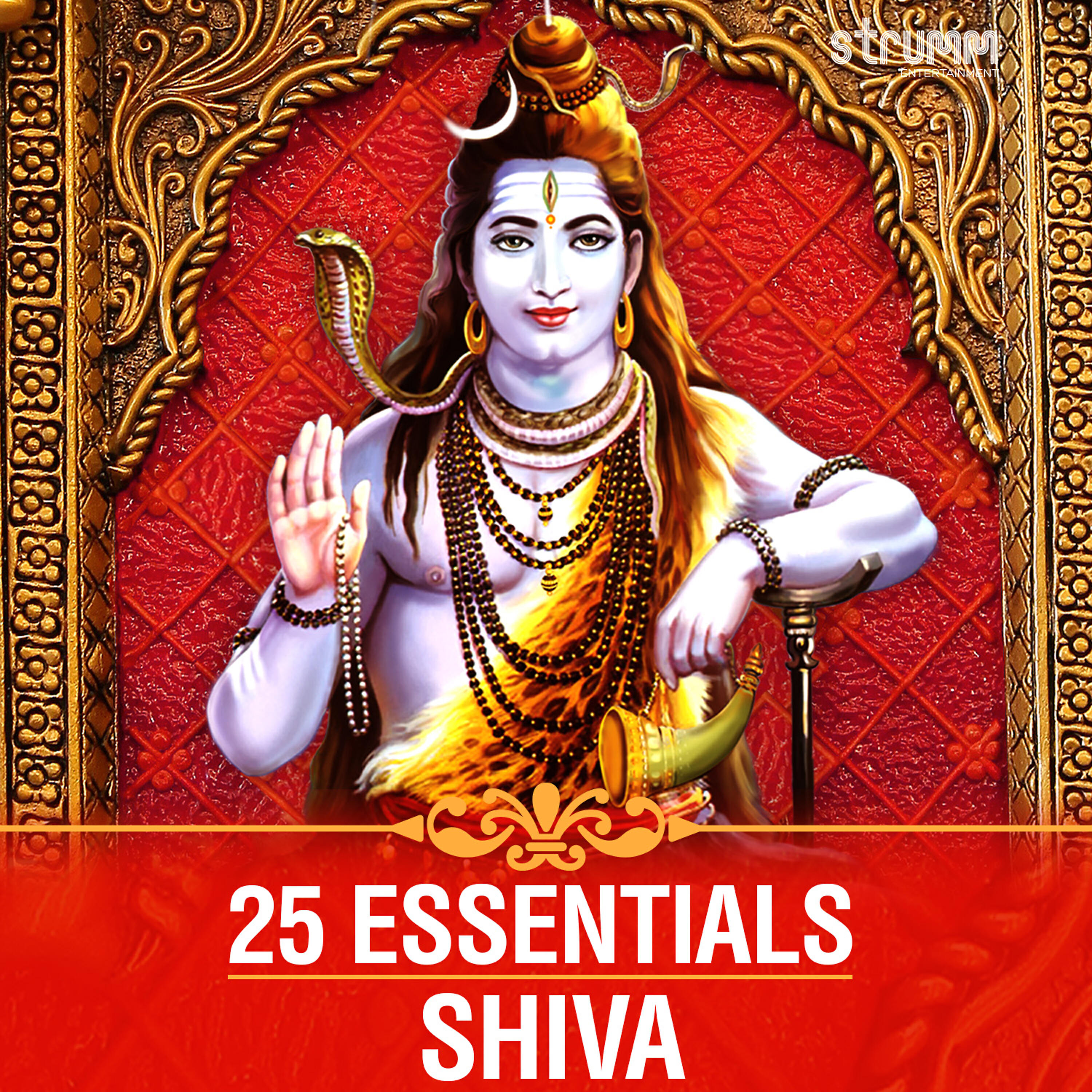 Релиз 25 Essentials - Shiva
