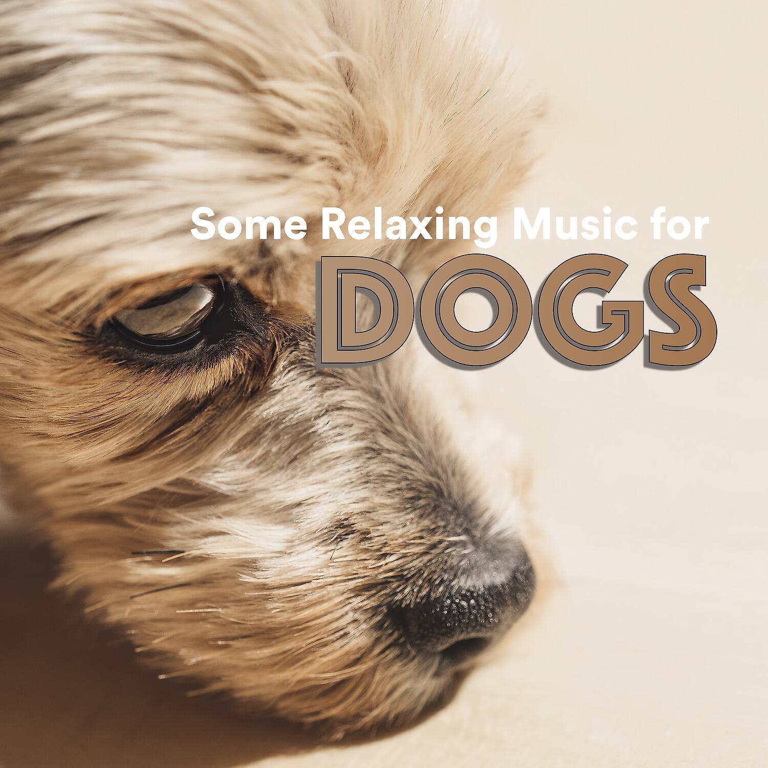 Релиз Some Relaxing Music for Dogs