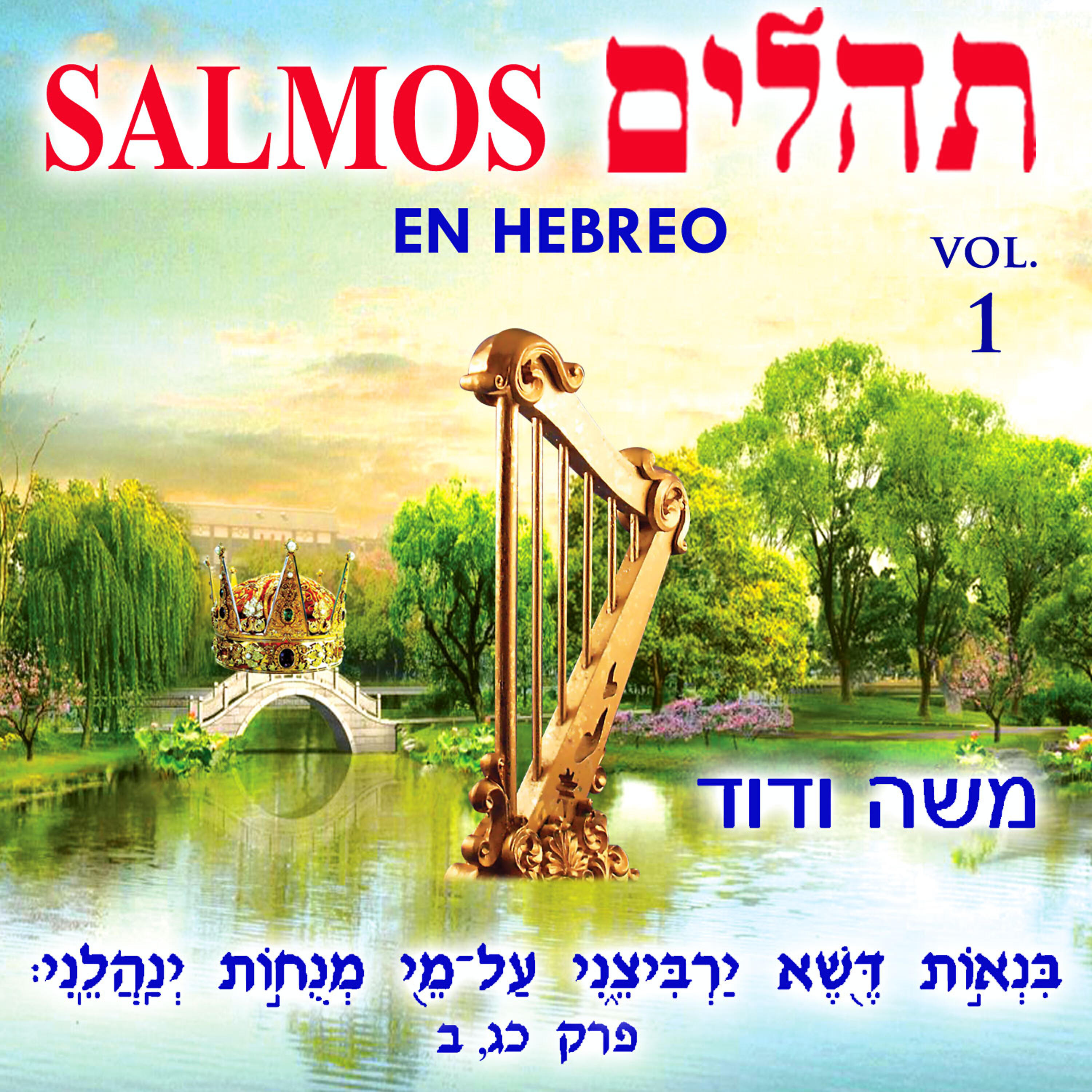 Релиз Tehilim Salmos en Hebreo, Vol. 1
