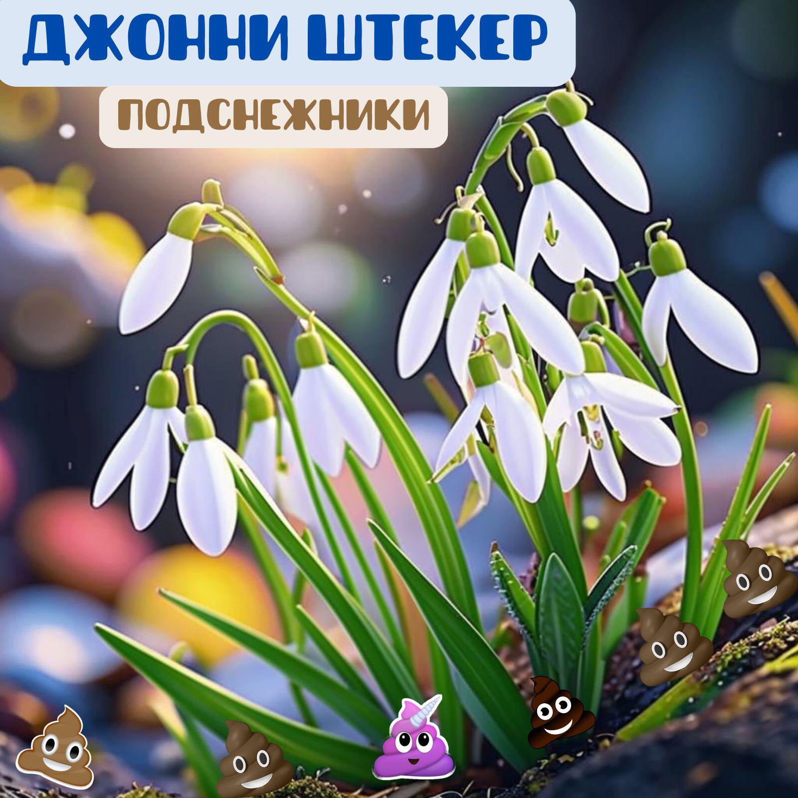 Джонни Штекер