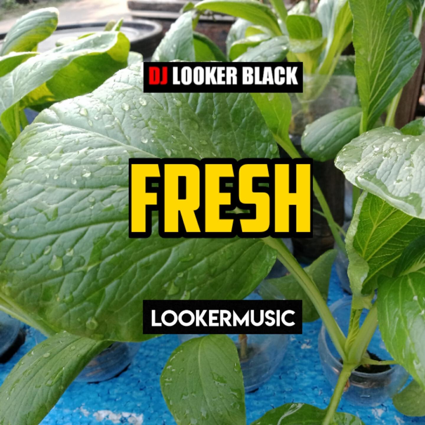 Релиз Fresh