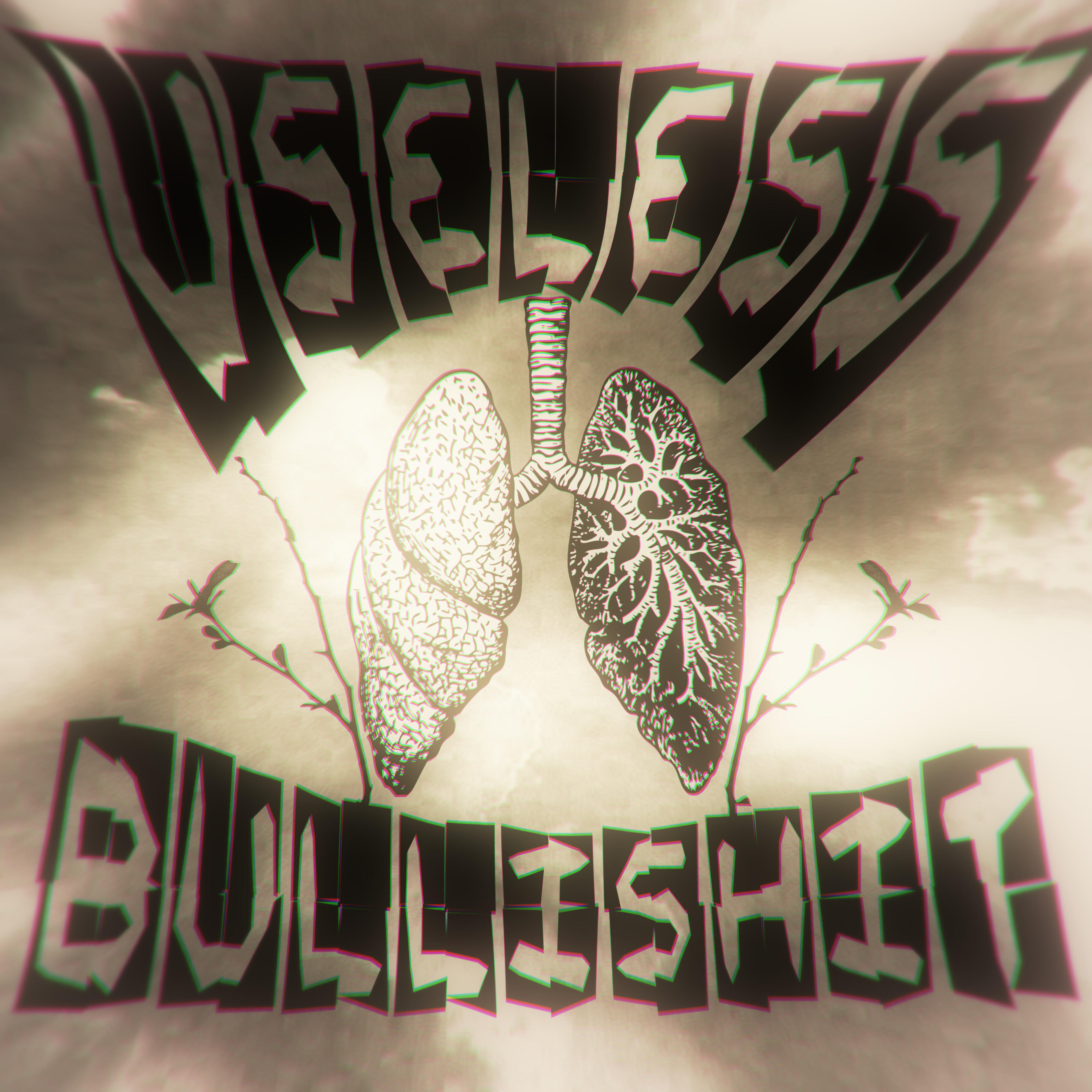 Релиз Useless Bullishit