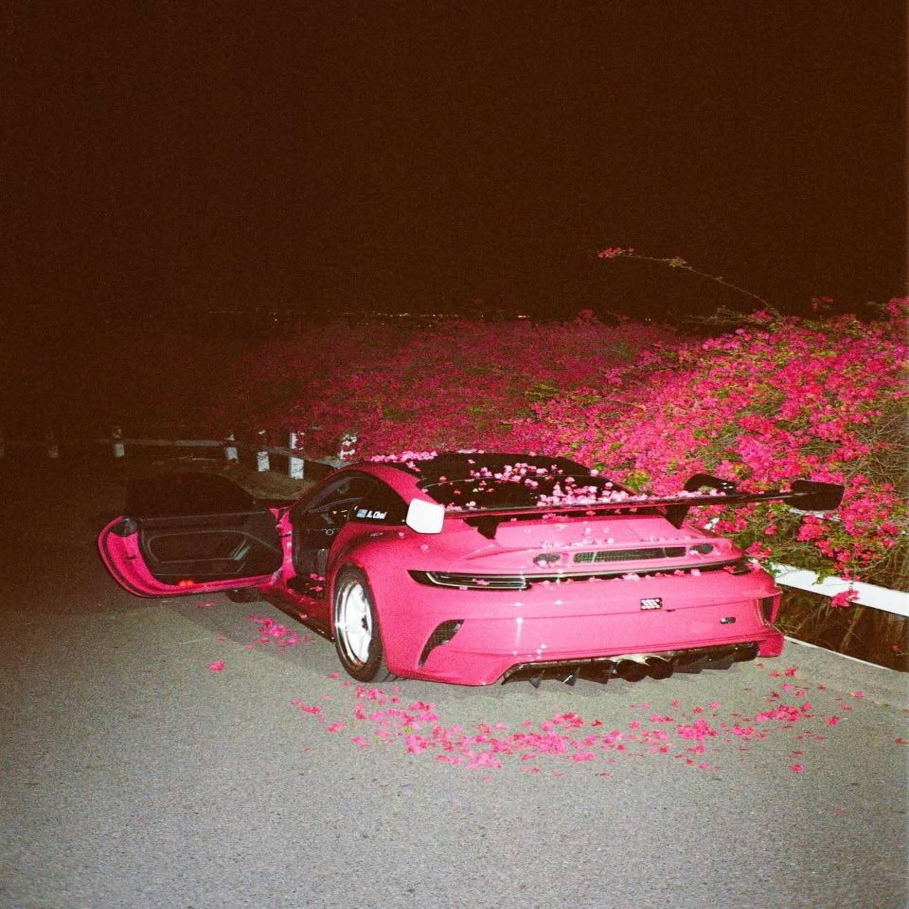 ANENILIN, whybigsteady? - Empty