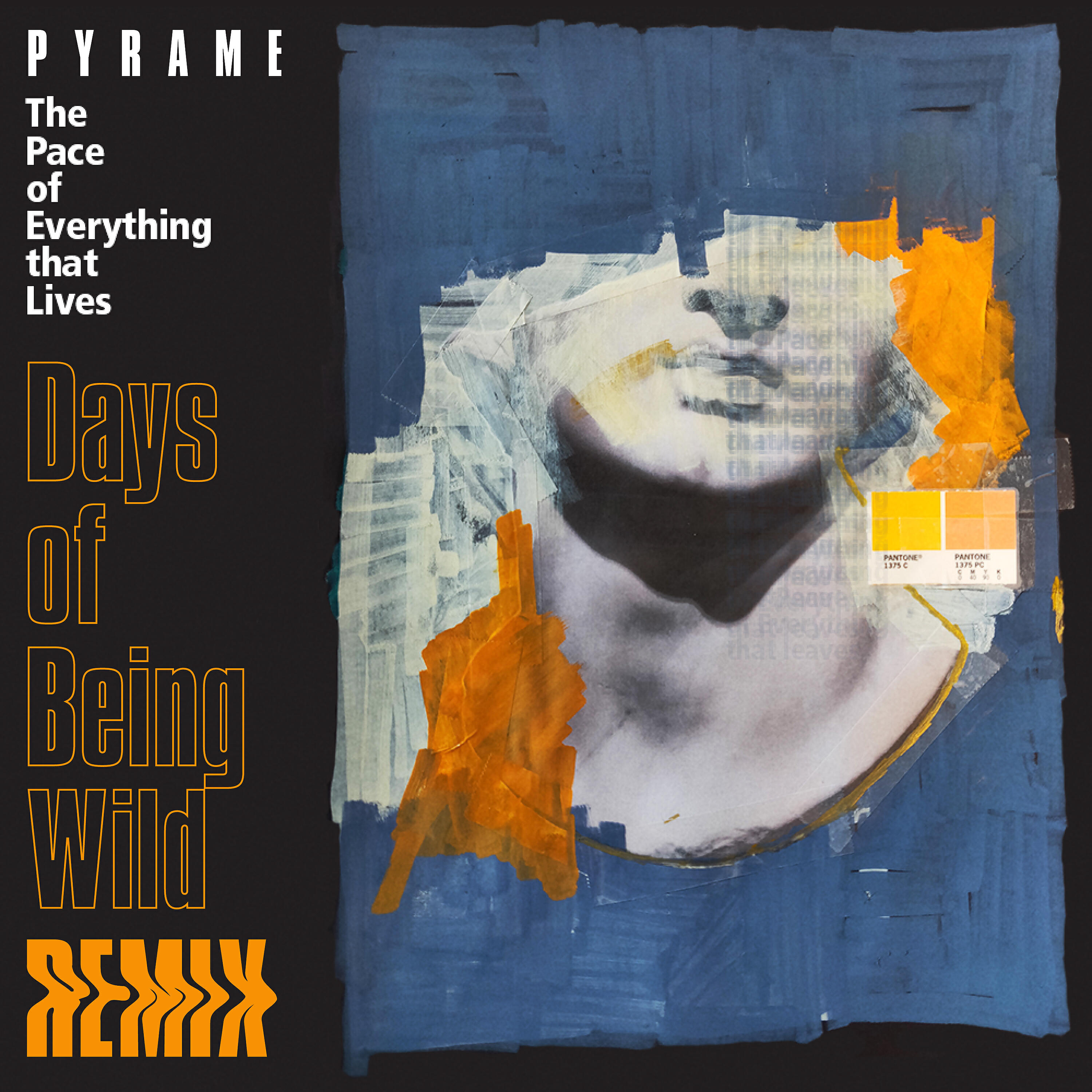 Релиз The Pace of Everything that Lives (Days of Being Wild Remix)