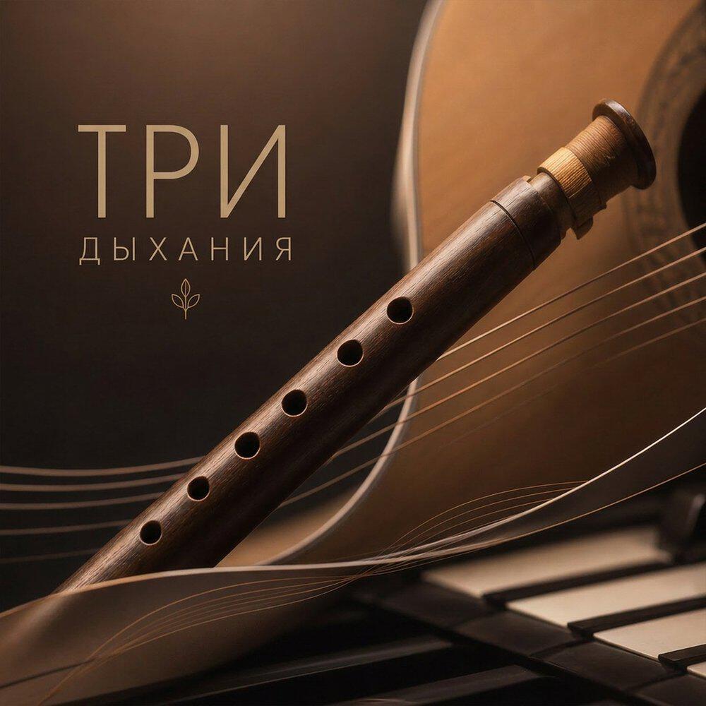 Релиз Альбом инструментальной музыки