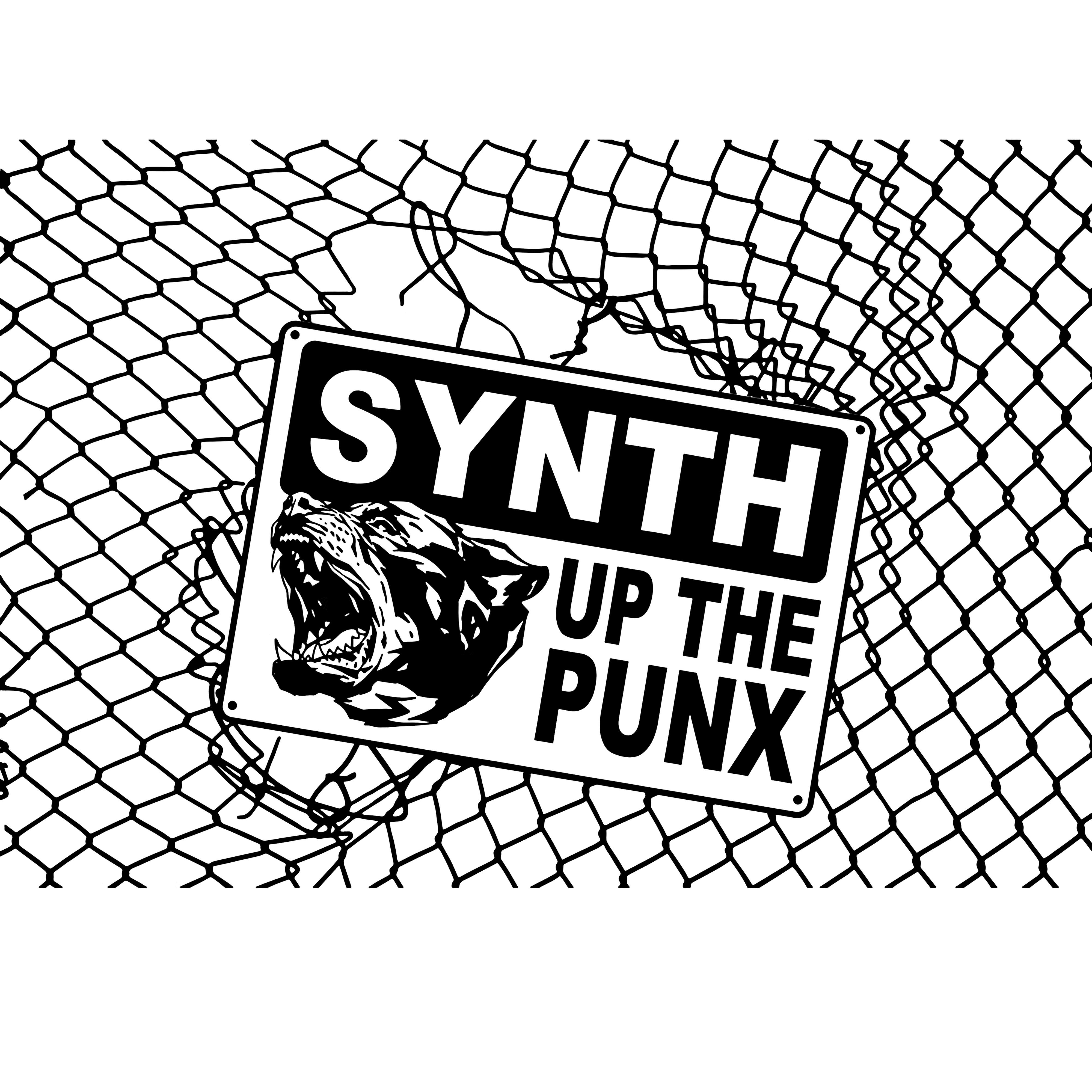 Релиз SYNTH UP THE PUNX